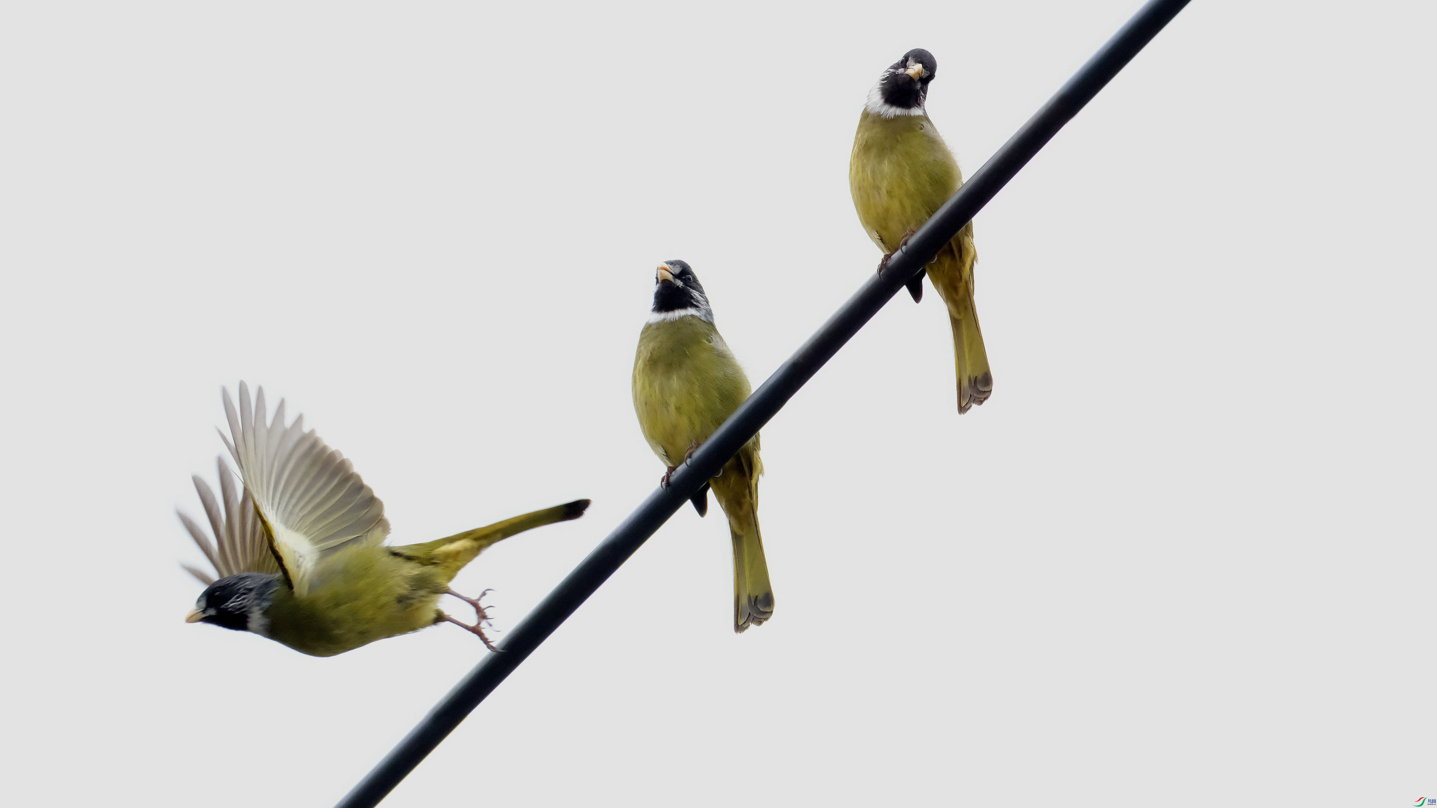 DSCF4320-0.jpg