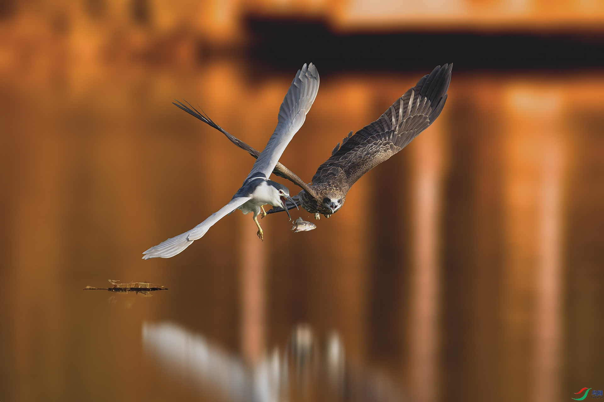 DSC_4326-����ǿ-NR ���� 2.jpg