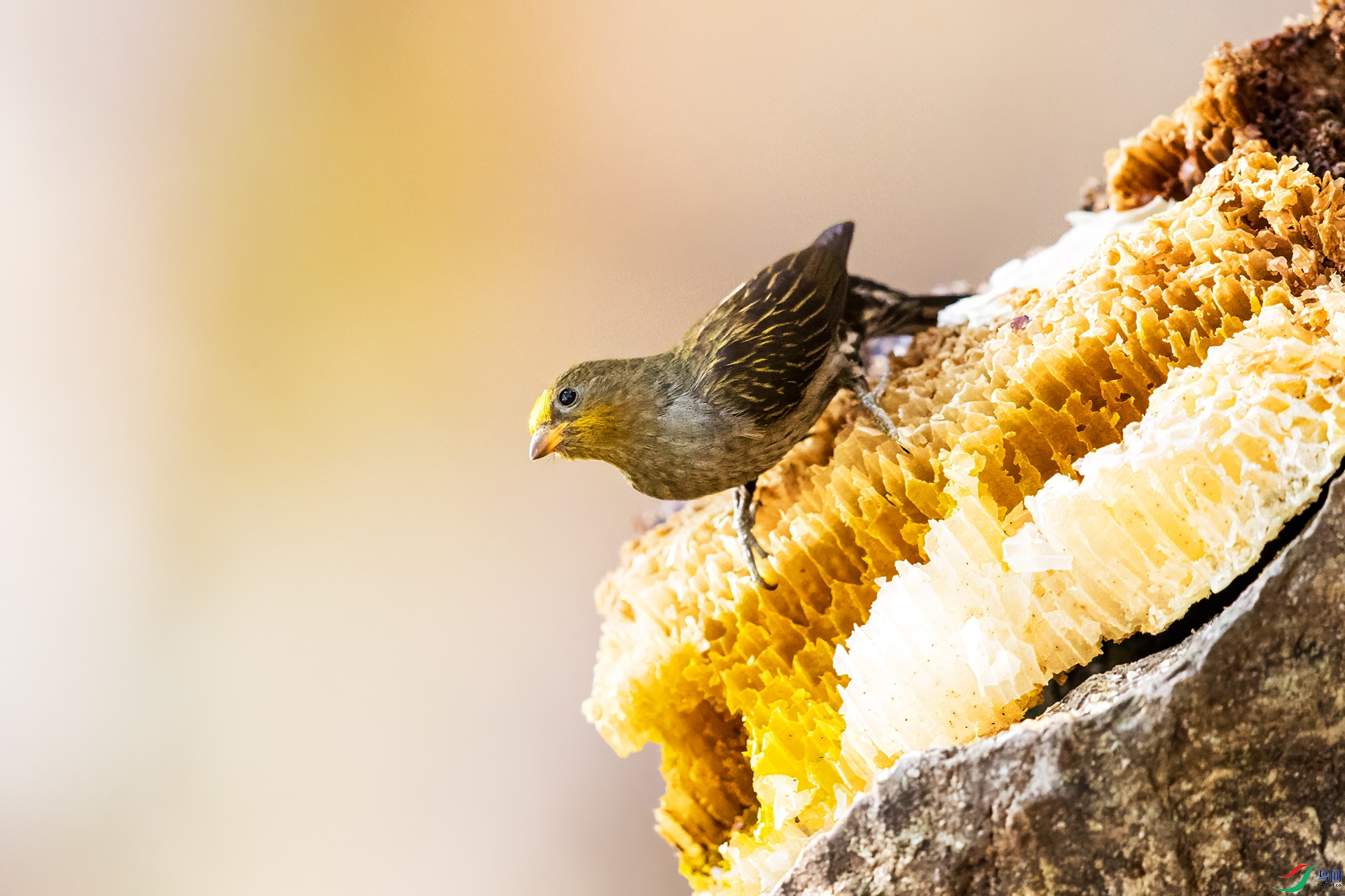 IMGL0455 ����.jpg