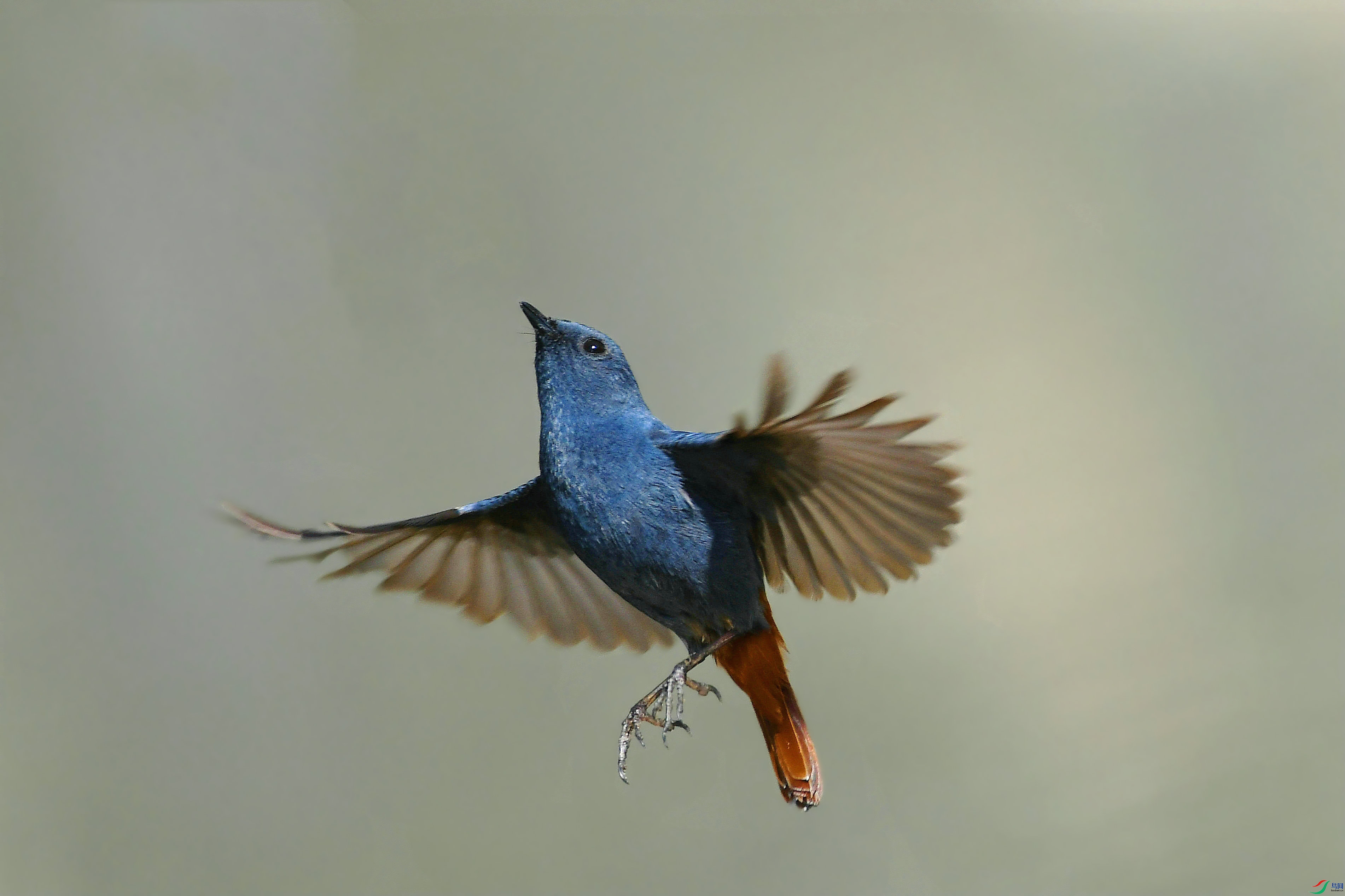 DSC_1843.JPG