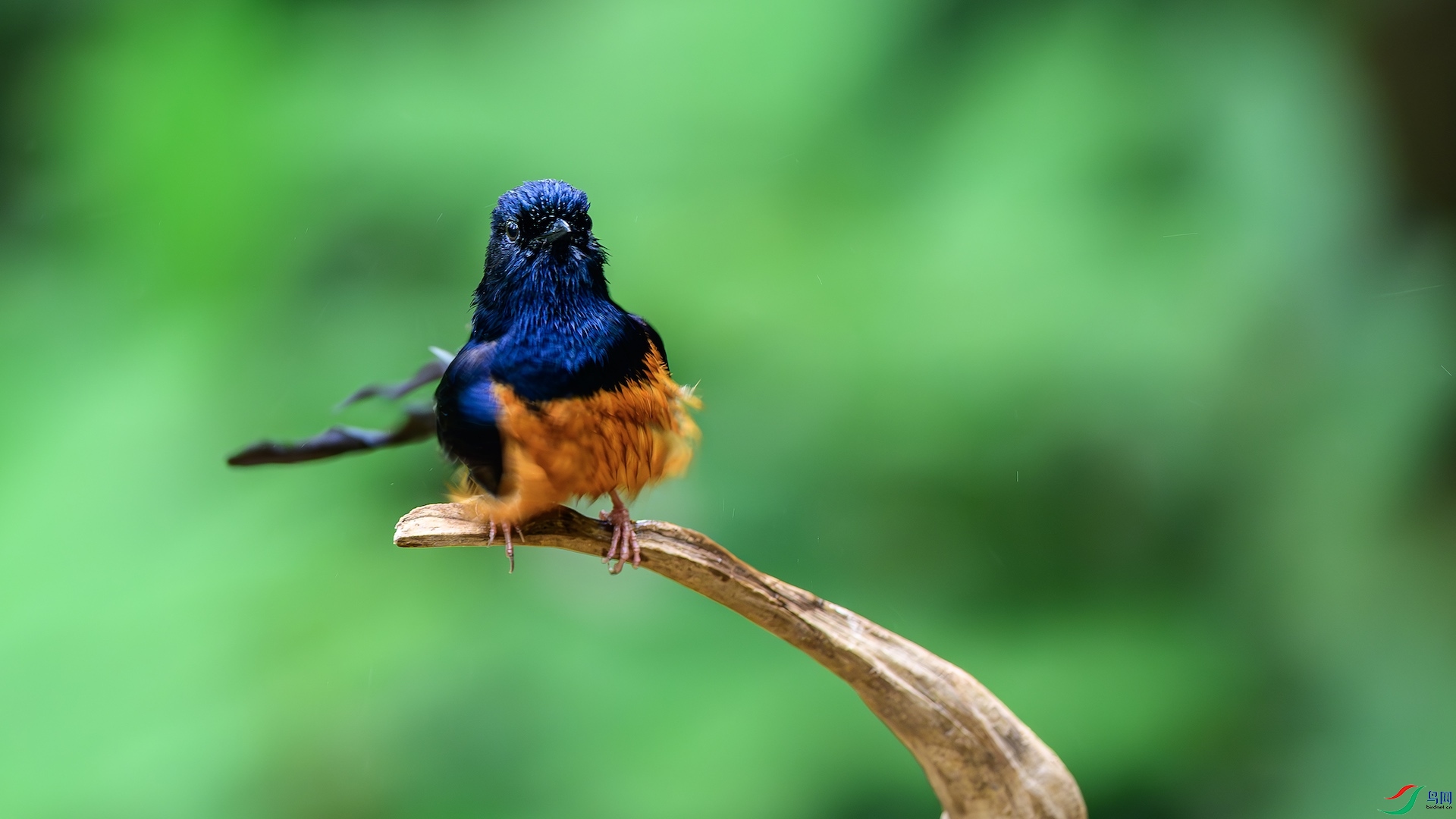 2_XXL6411-����ǿ-NR ����.jpeg