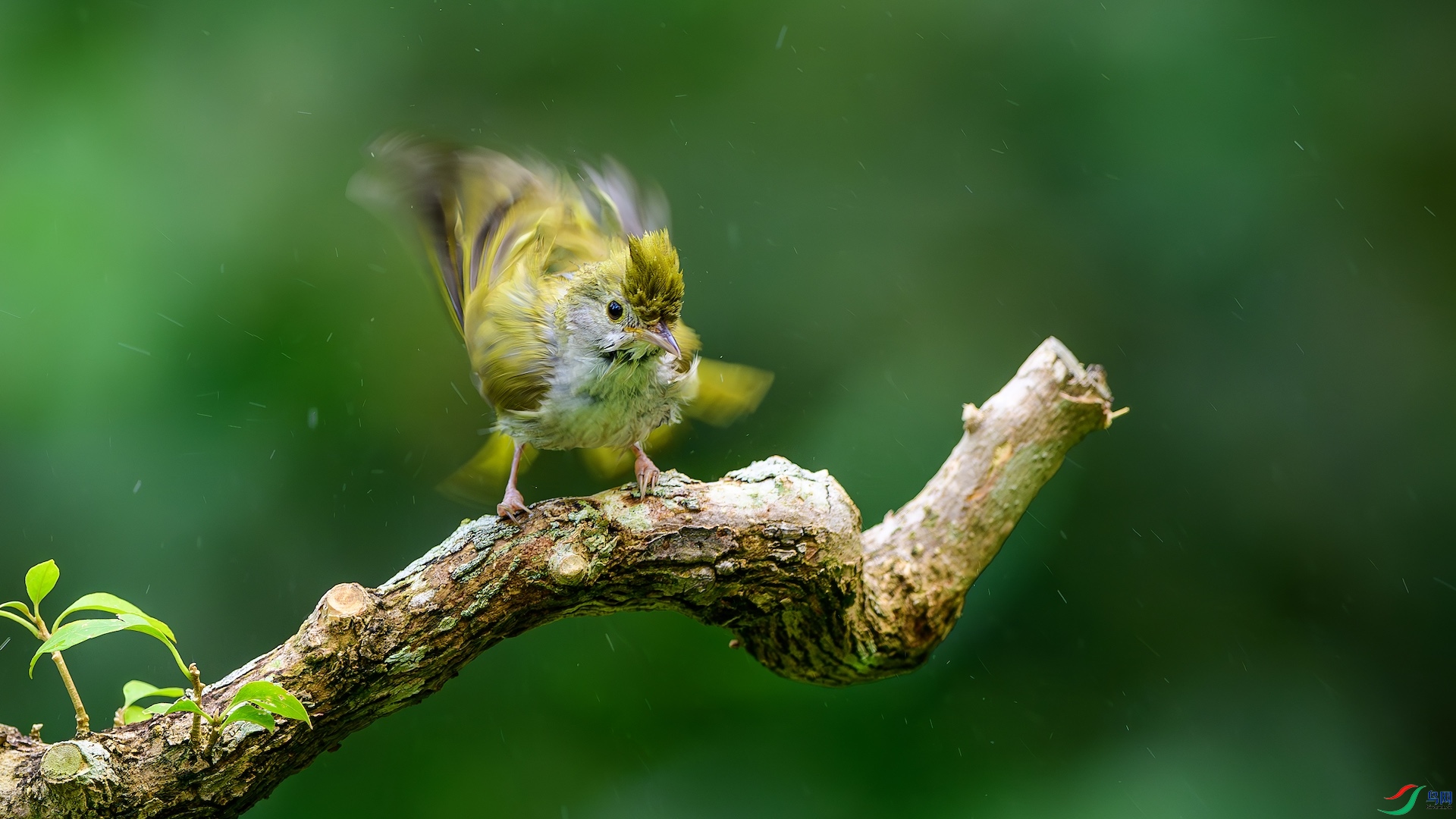 2_XXL8047-����ǿ-NR ����.jpeg