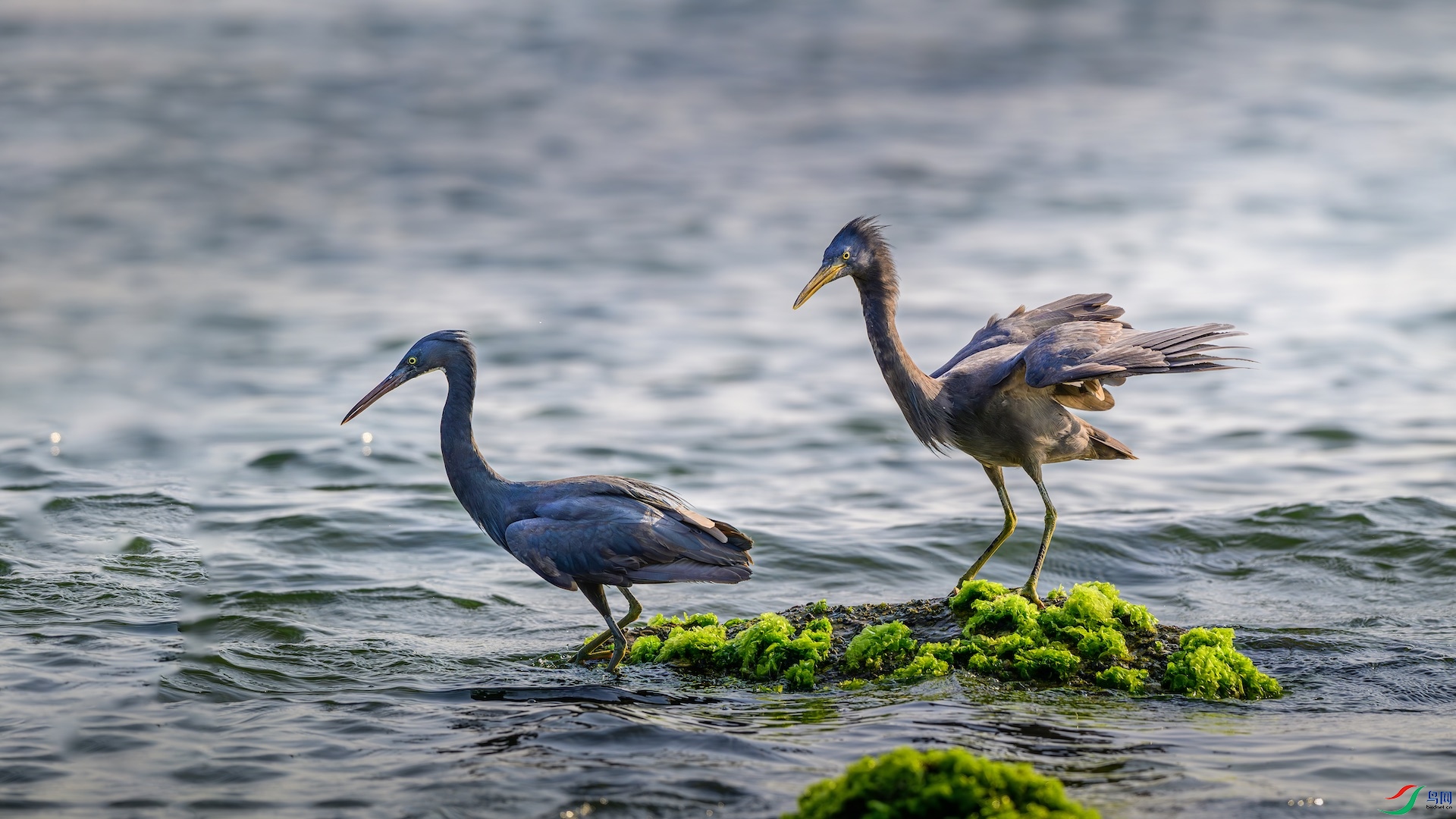 _XXL0236-����ǿ-NR ����.jpeg