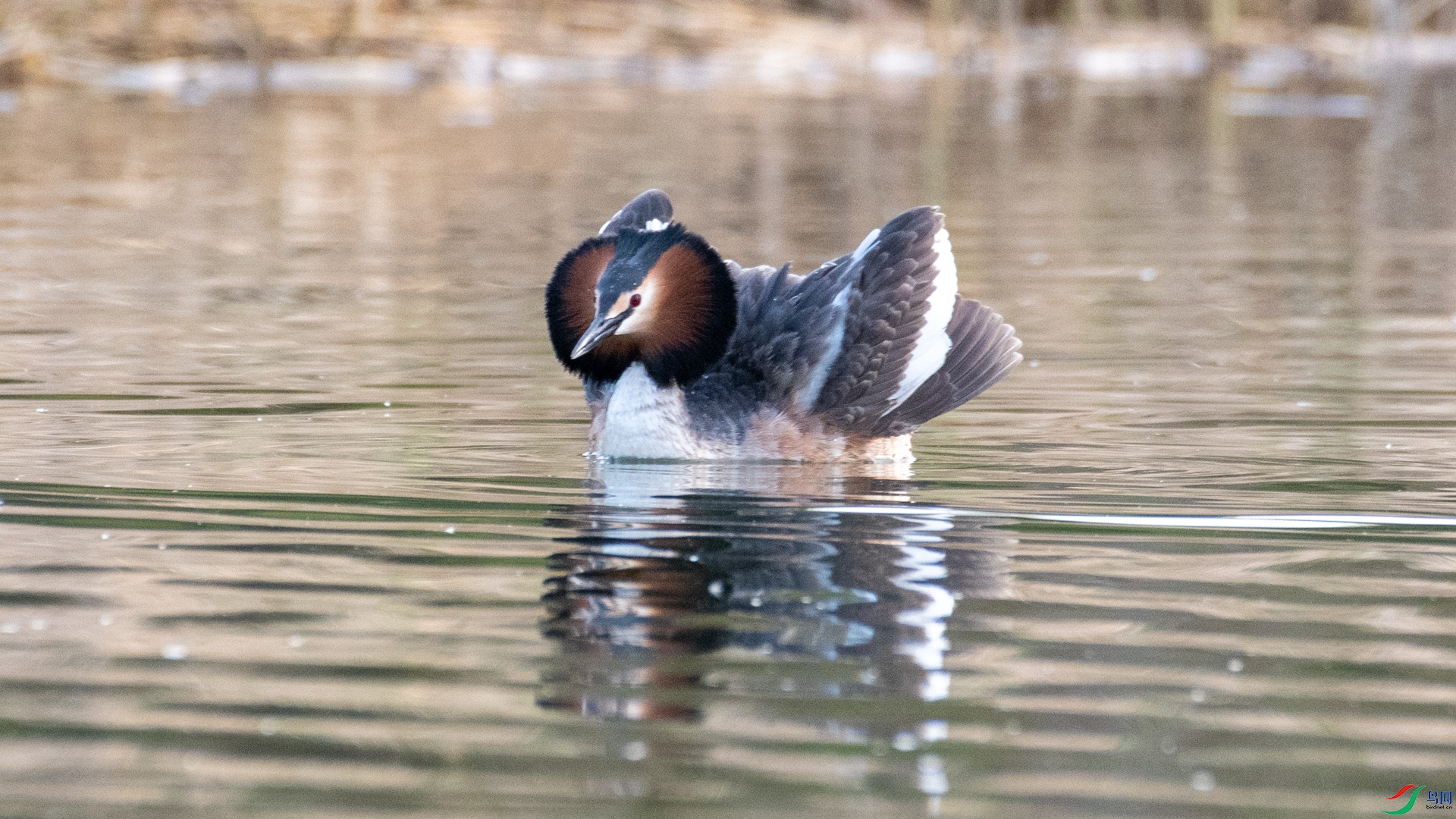 DSC_4568.jpg