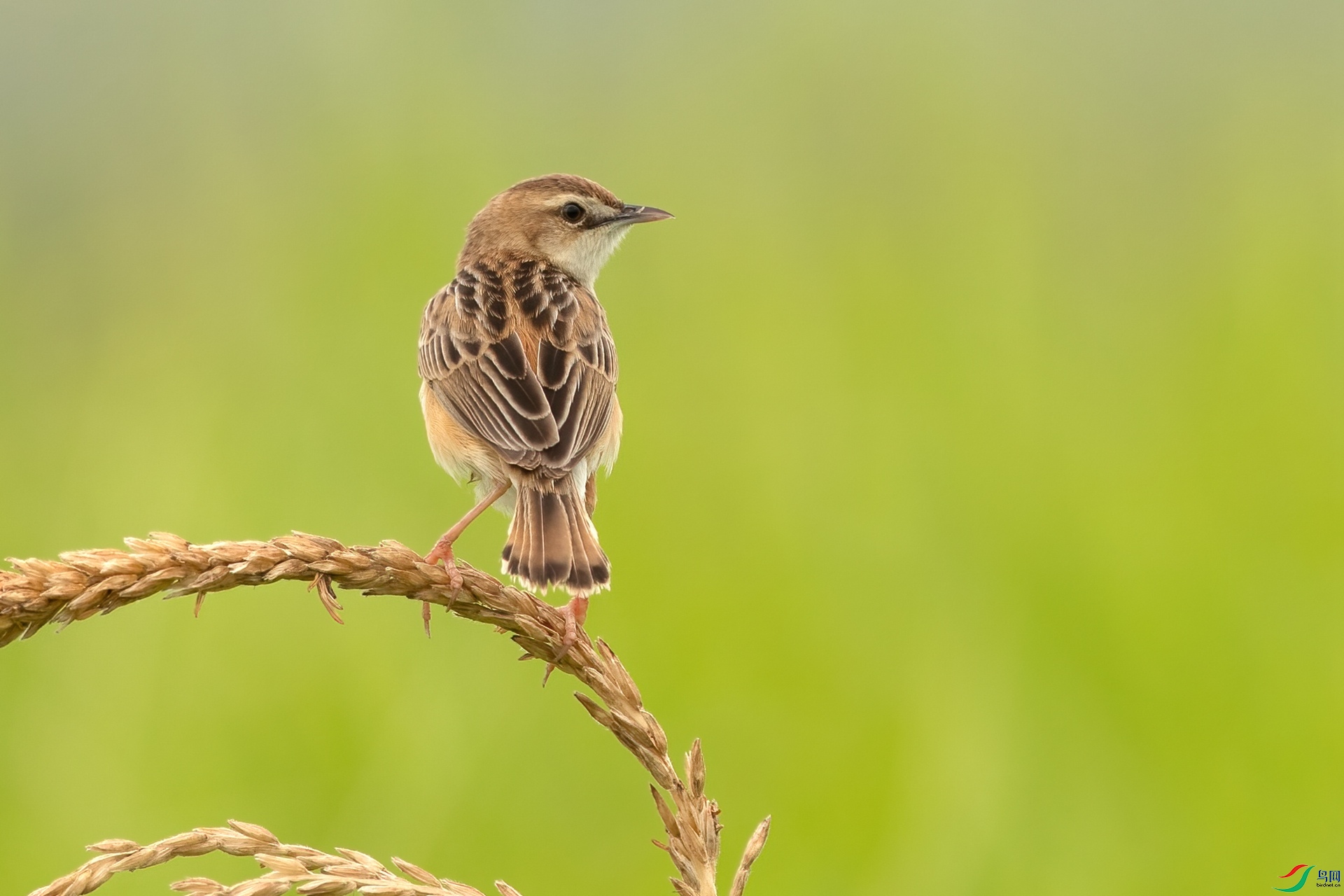 B86I8433 _����.jpg