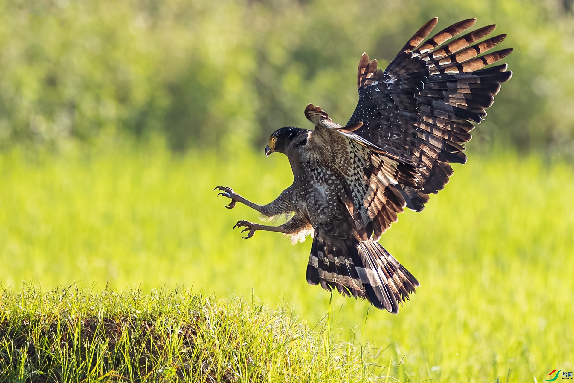 B86I7690 _����.jpg