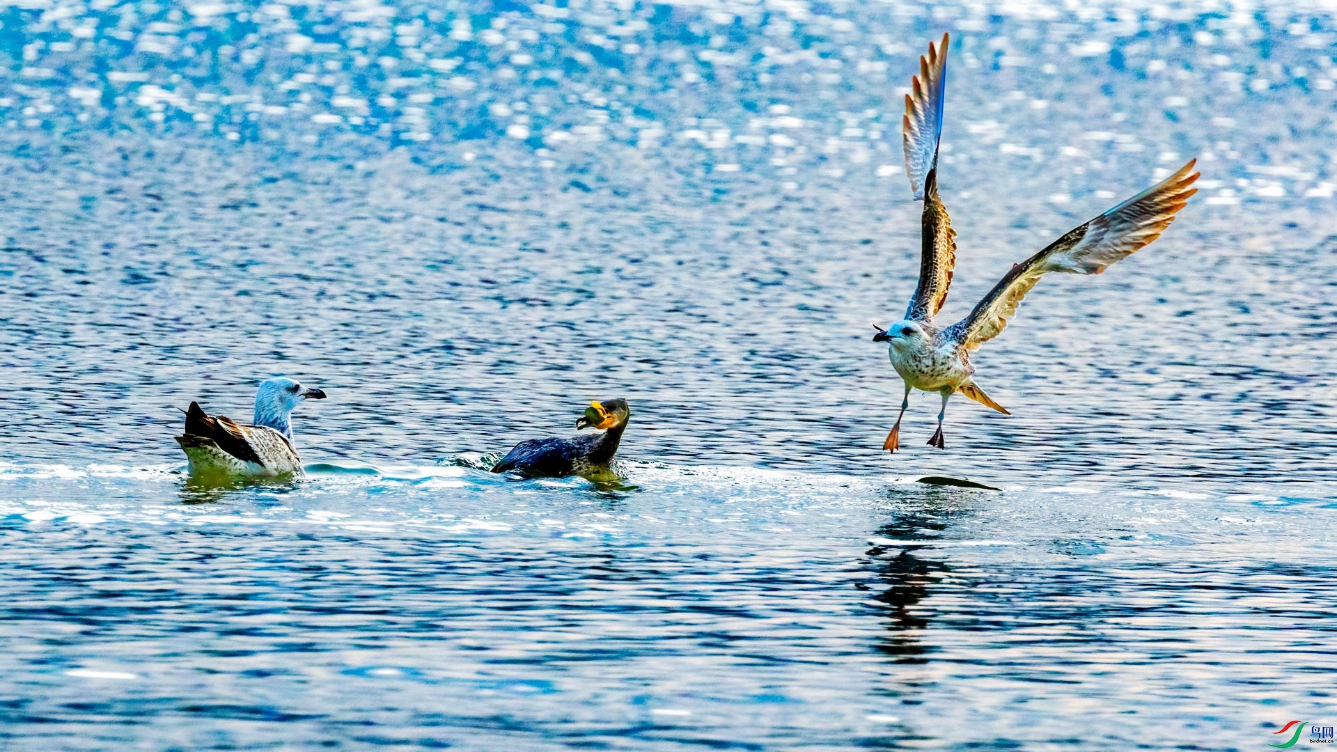 0P6A7618.jpg