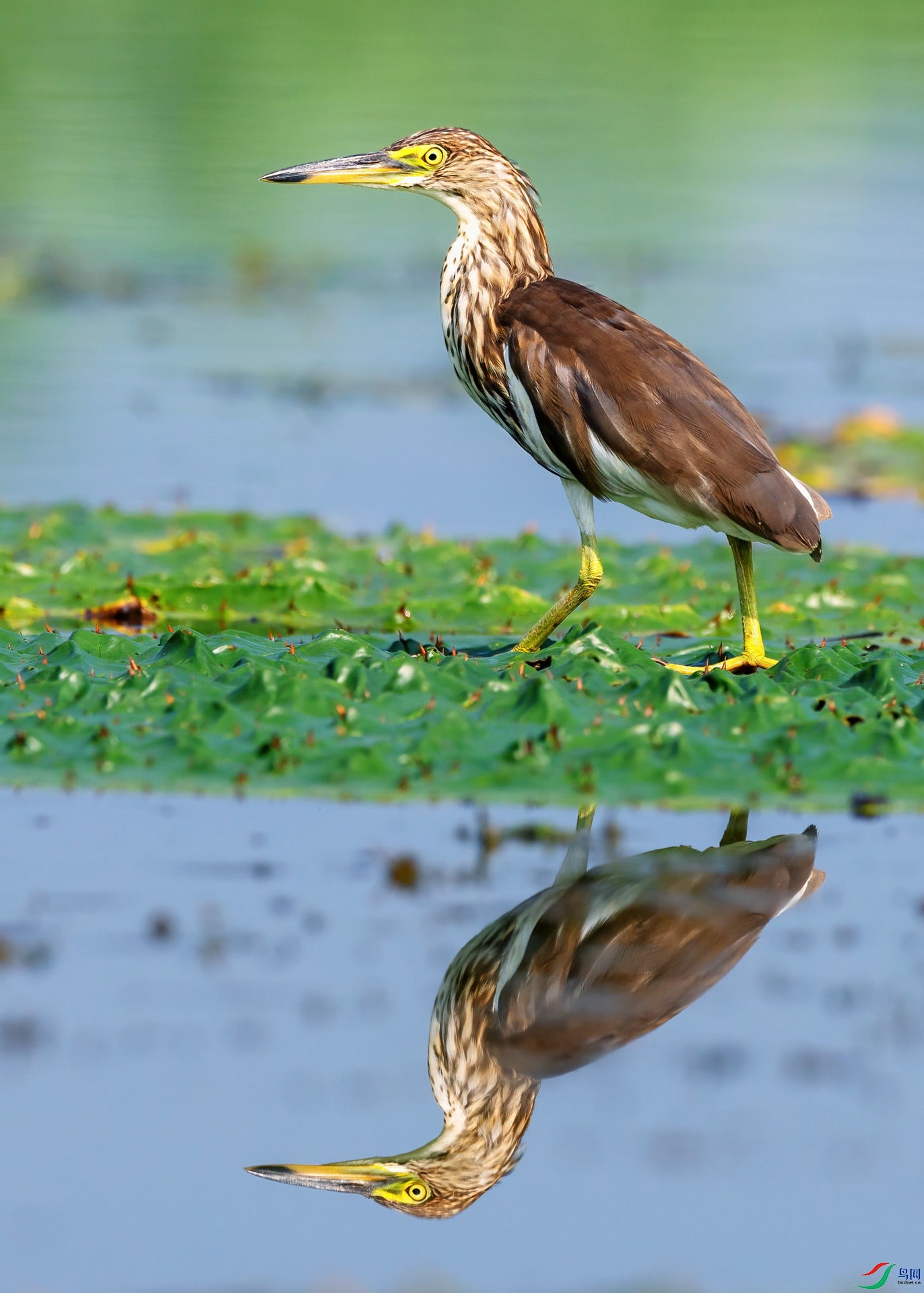 _B5A5938-2.jpg