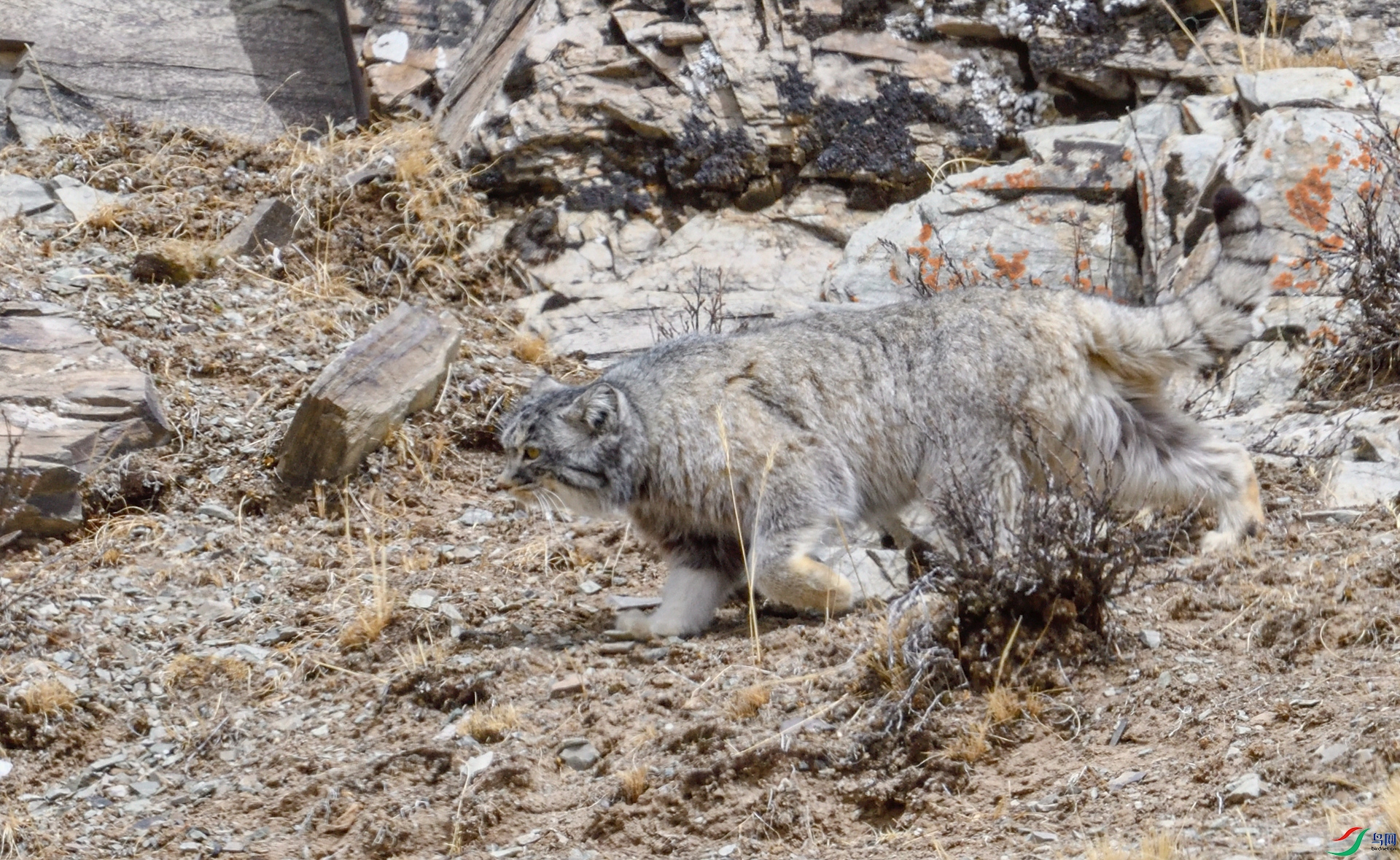 _DSC2986_���� - ����.jpg