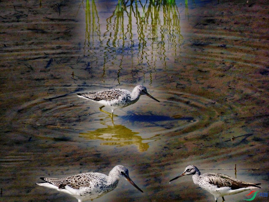 PicsArt_04-19-08.40.45.jpg