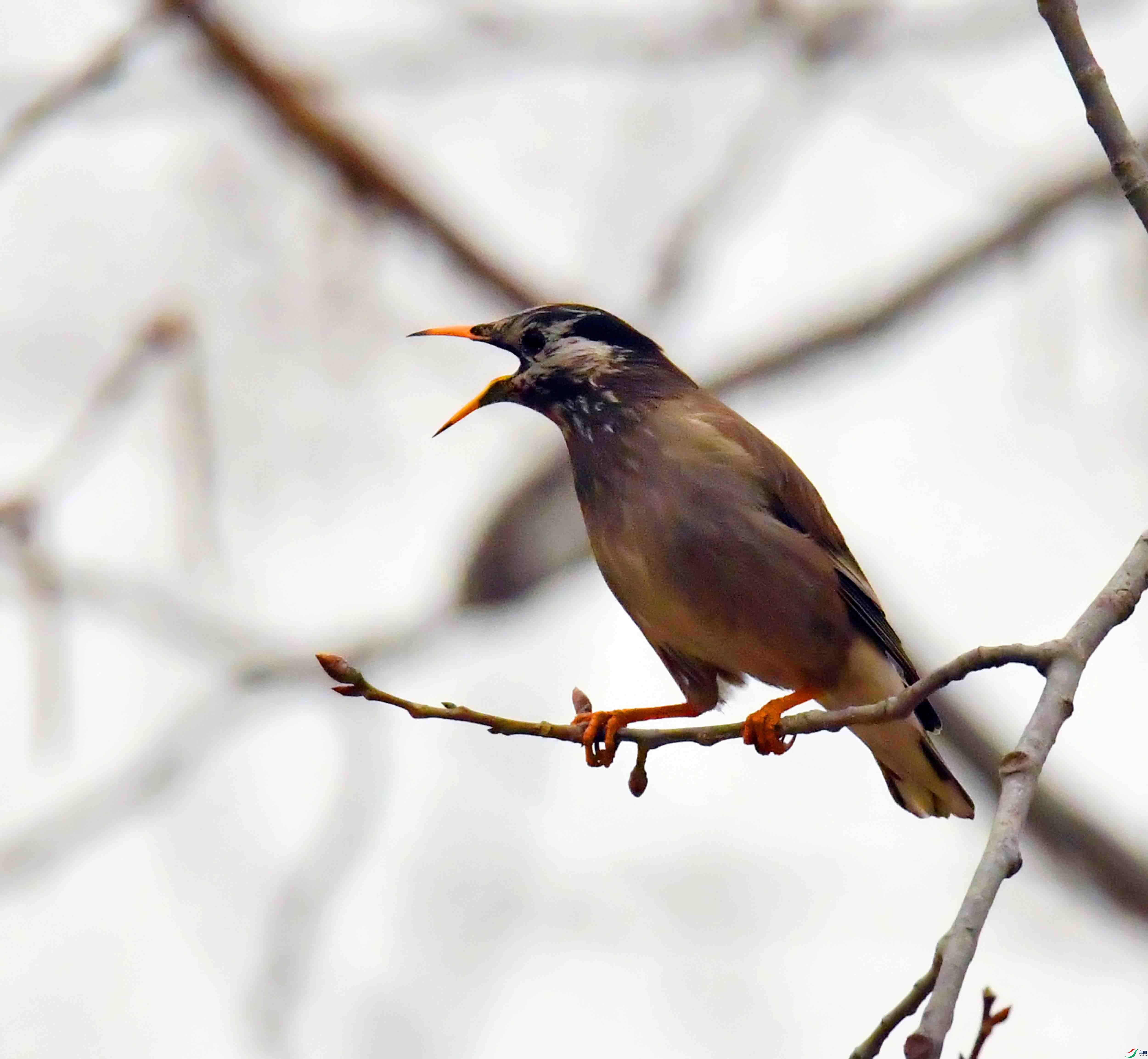 DSC_3018.JPG