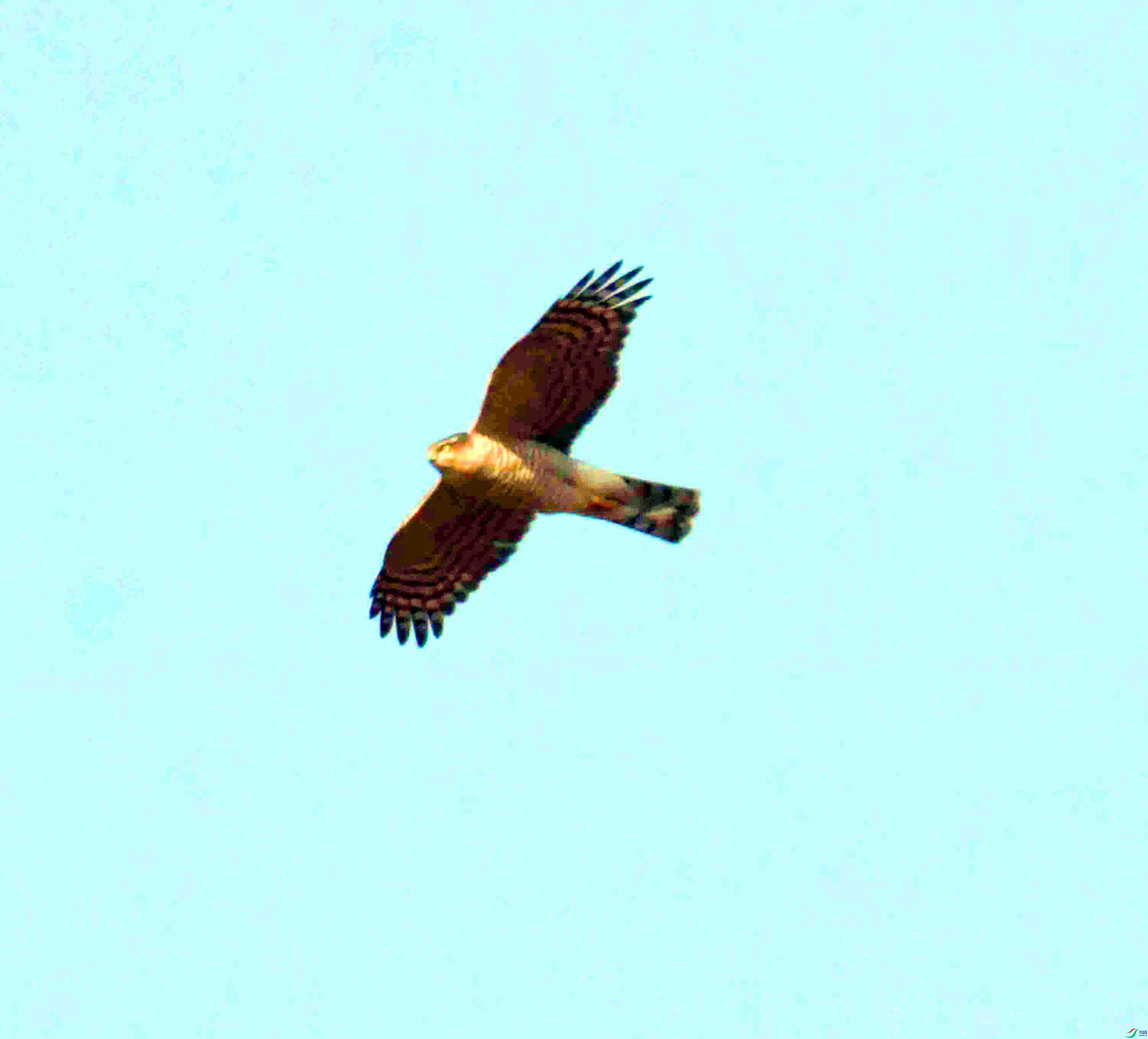 DSC_1534.JPG