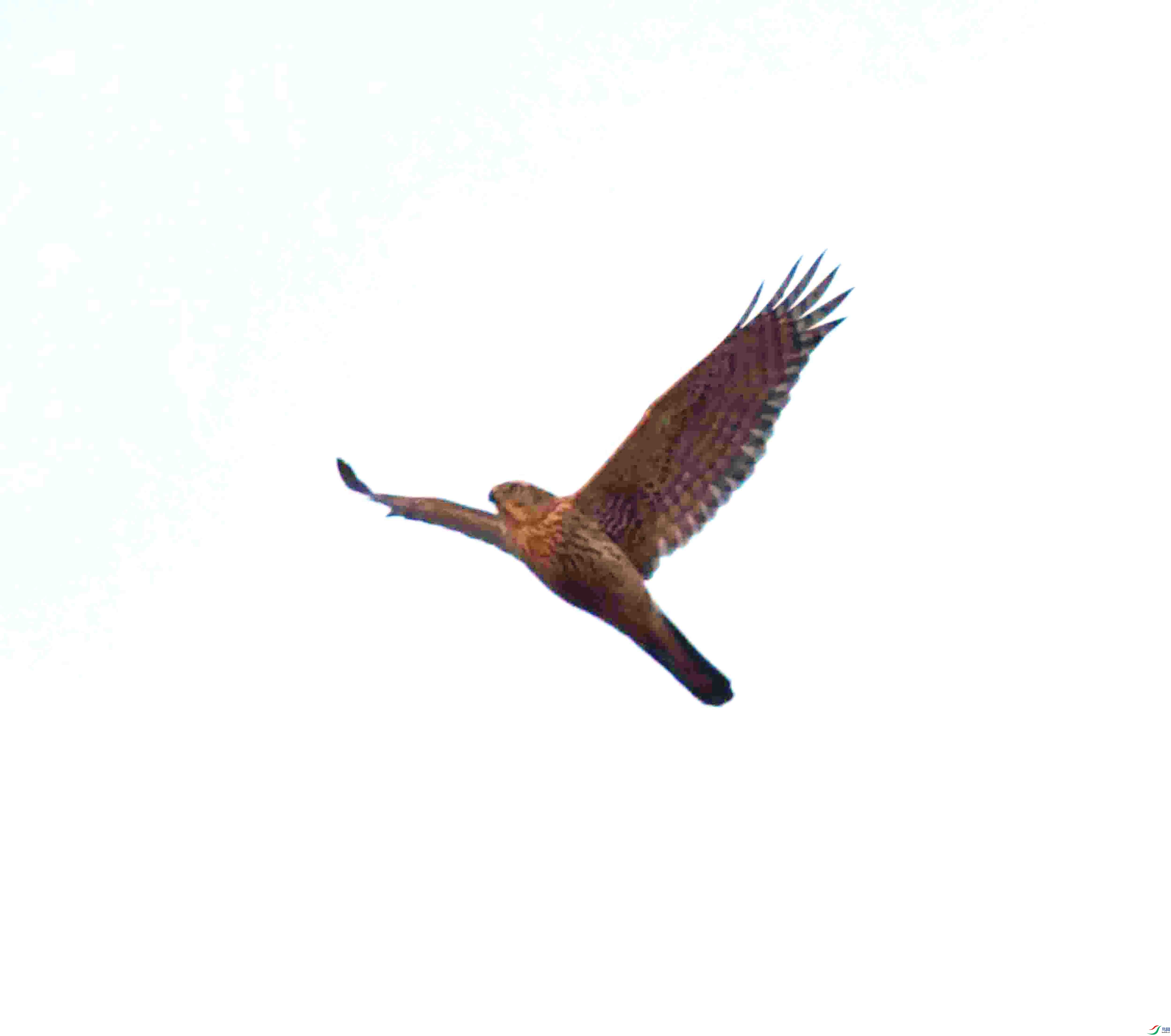 DSC_6327.JPG