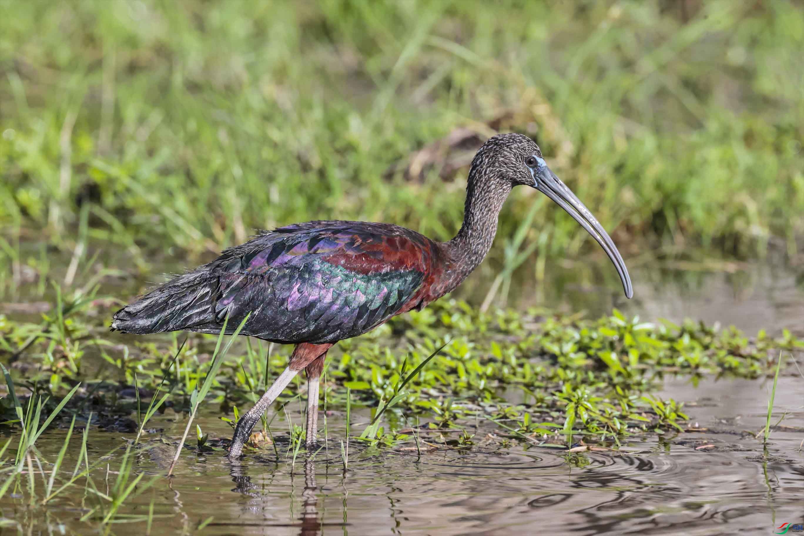 ԭƬ�����q  .jpg