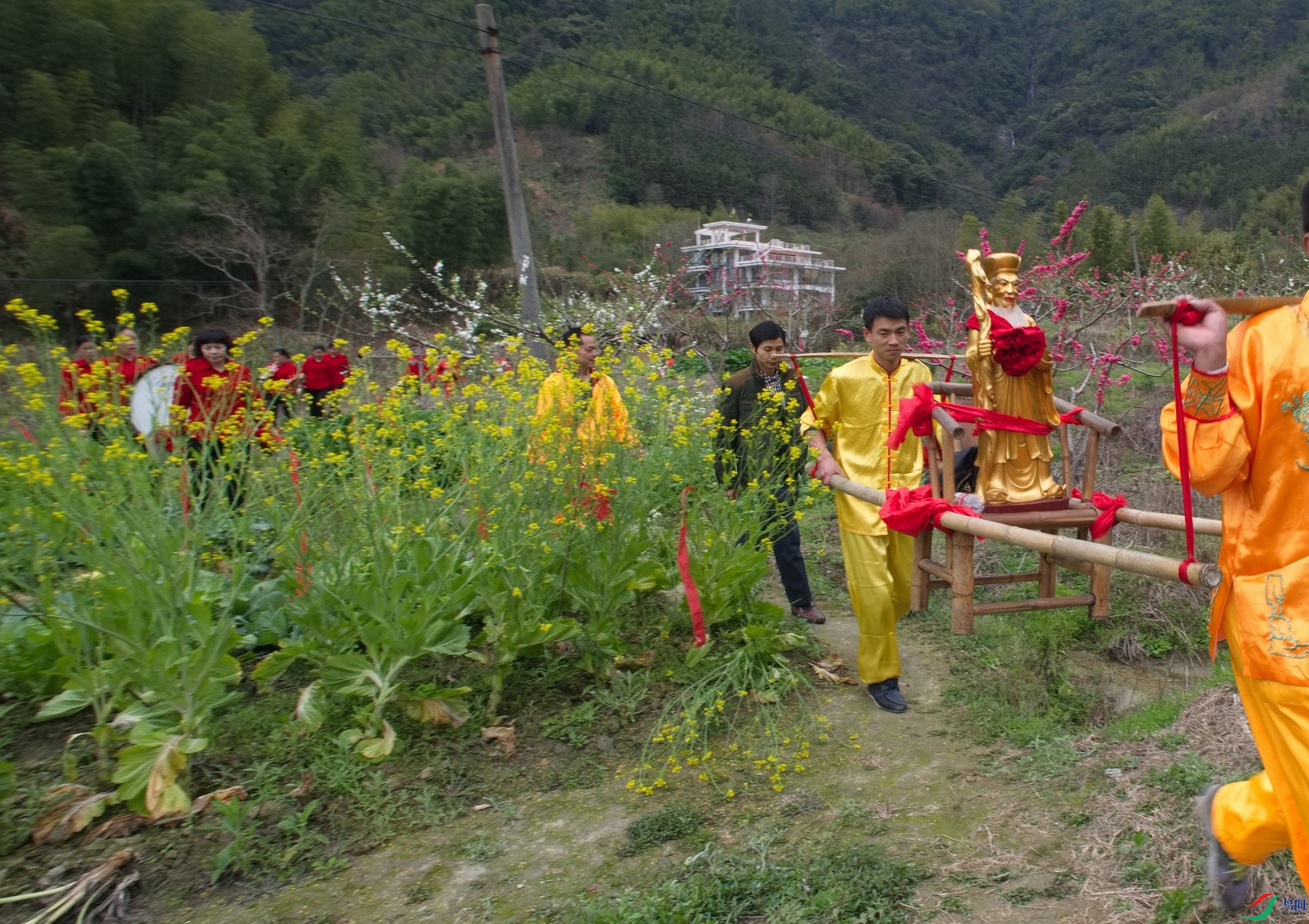 _N802393.jpg