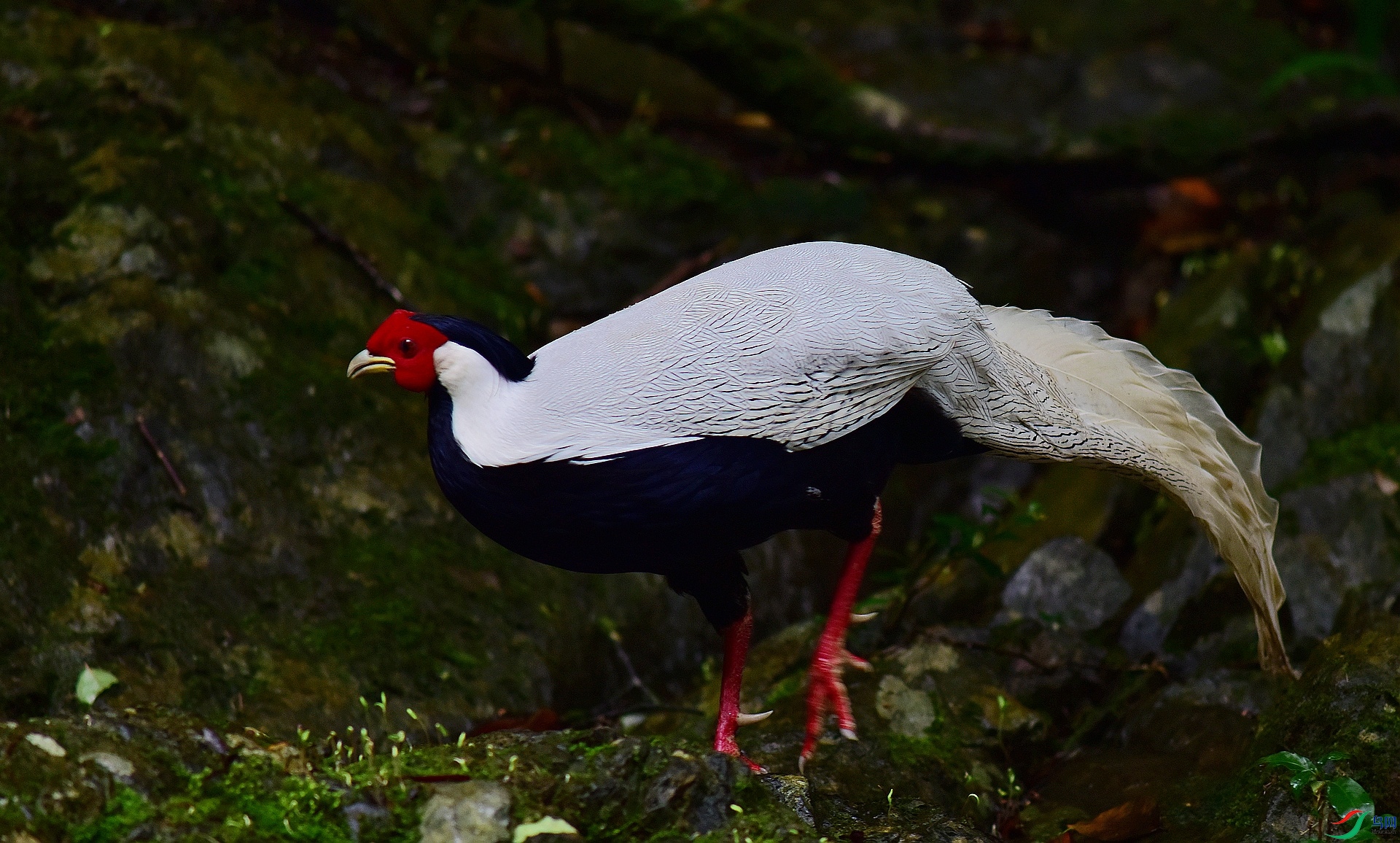 D8I_6431.jpg