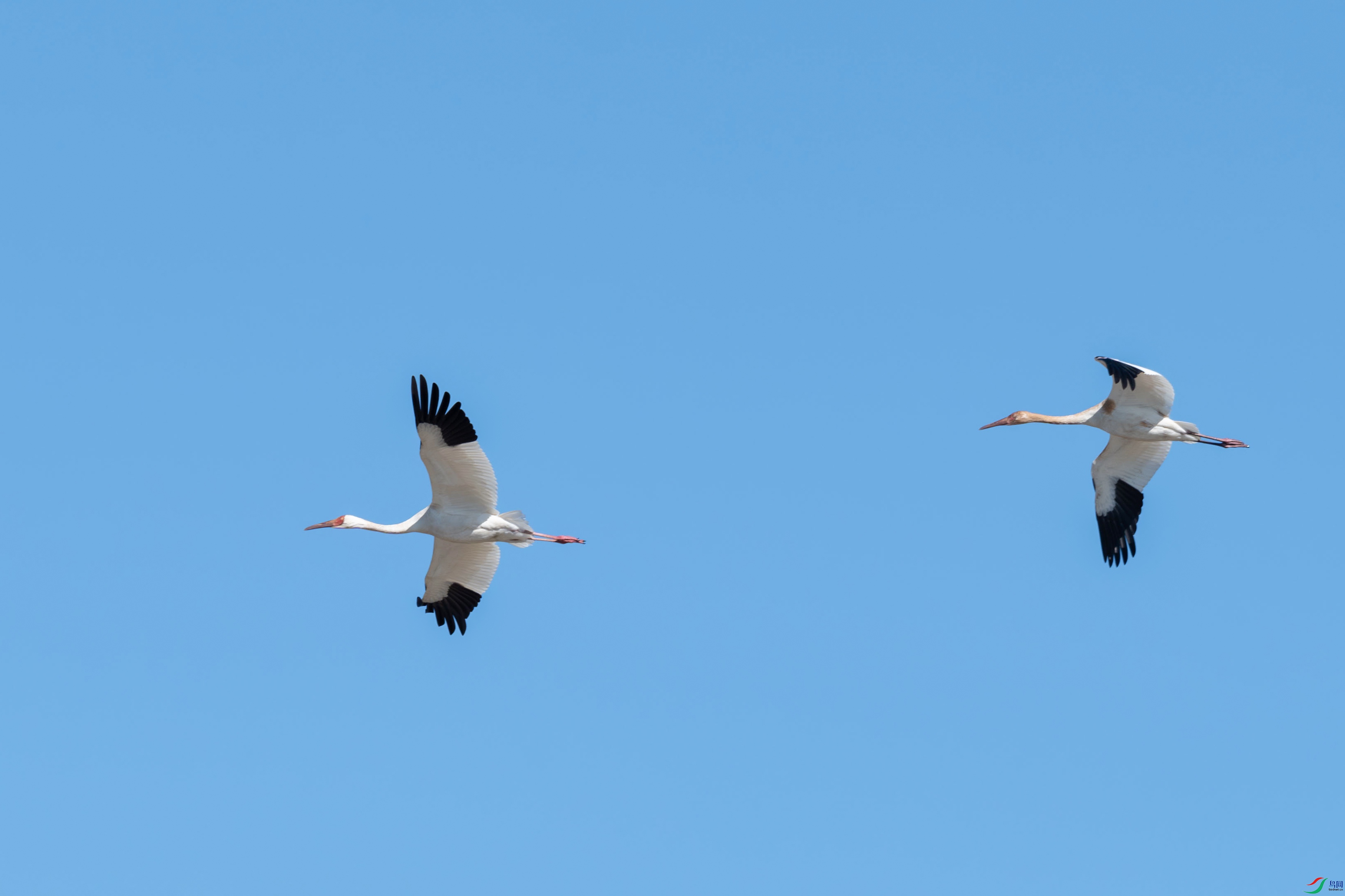 DSC_9133-.jpg