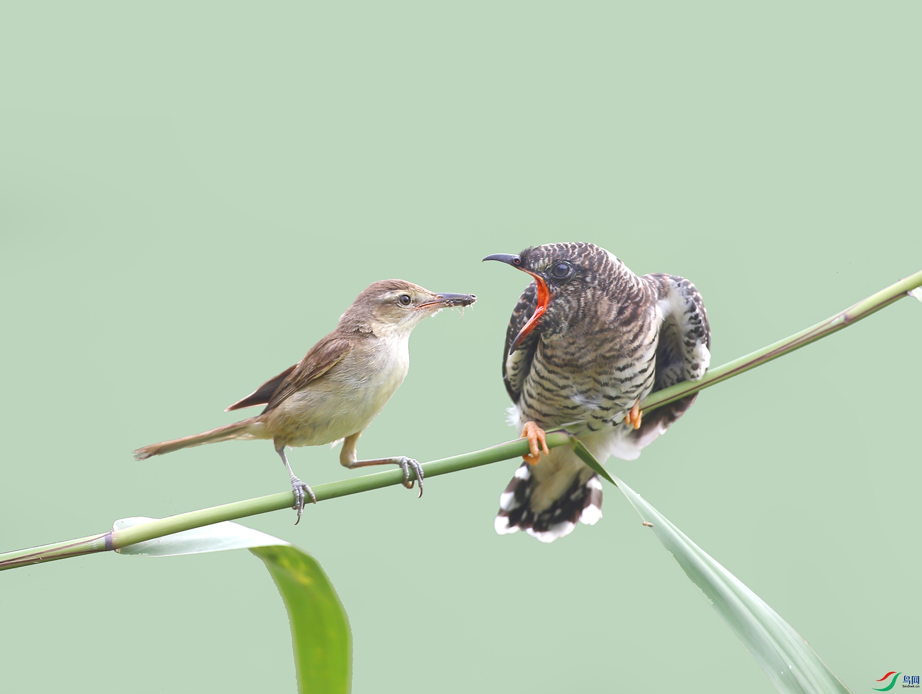 DM8W6184 ����.jpg