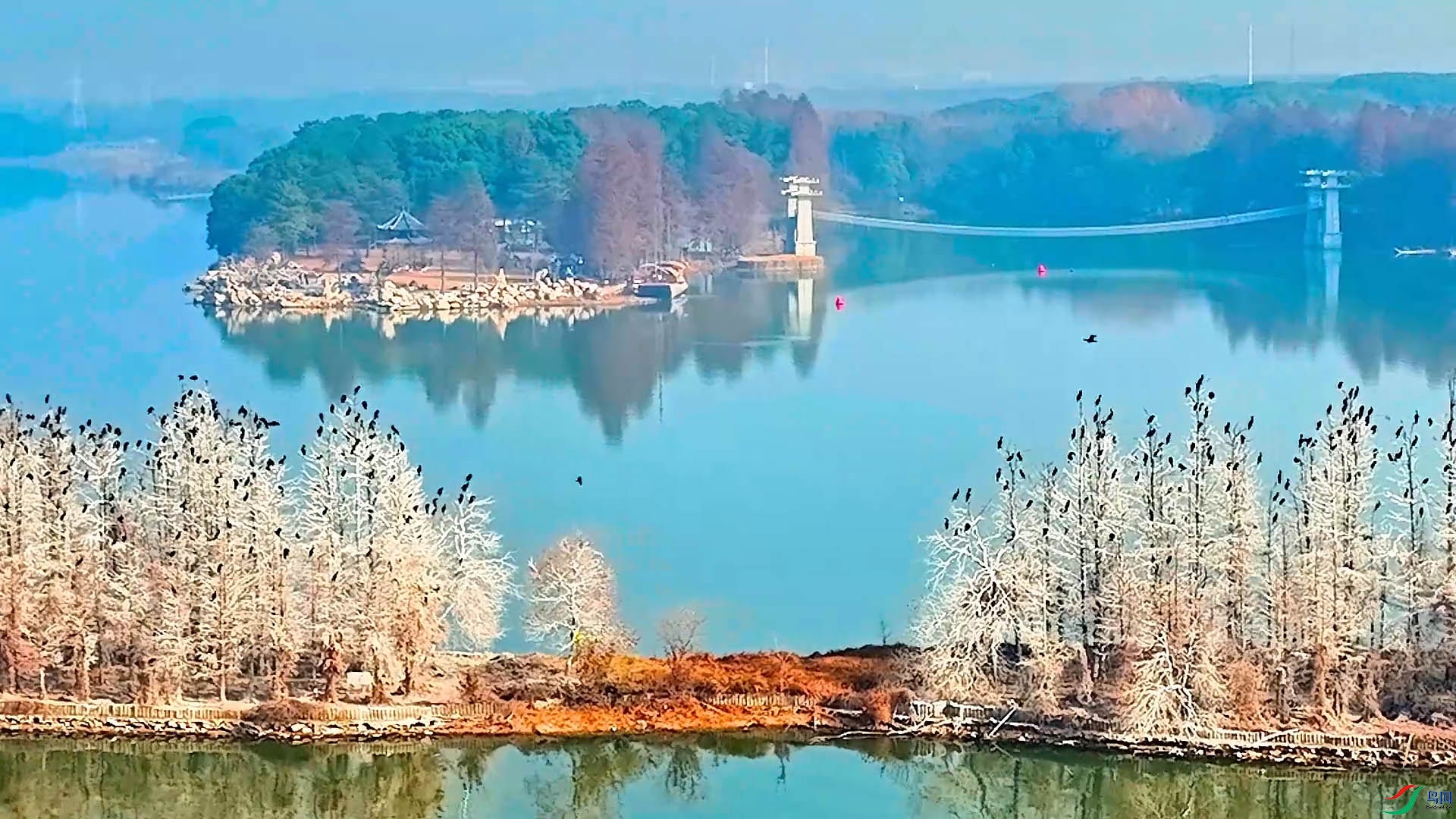 ���㵺ʪ��4��12��(1).jpg