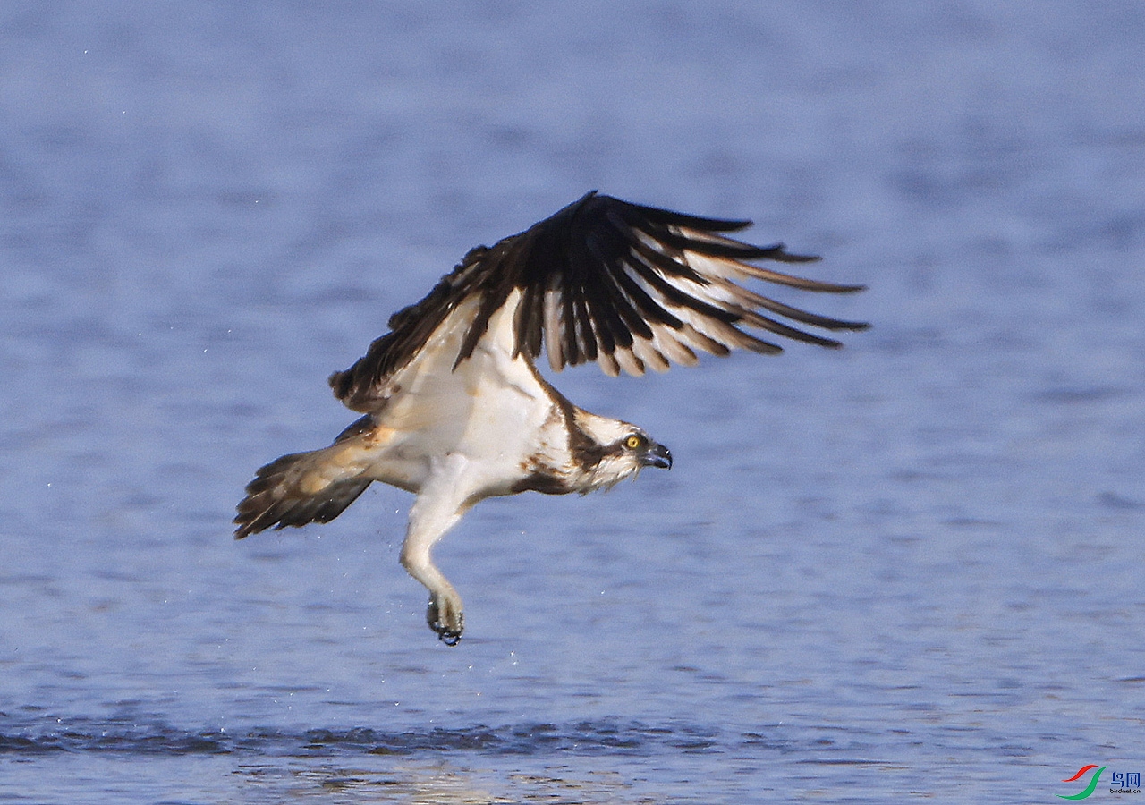 ������ ˮ13.jpg