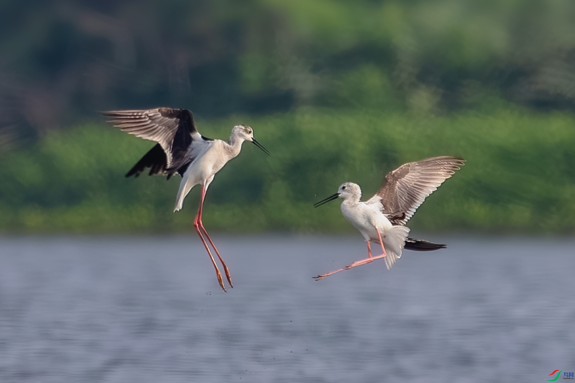 _DSC0226 ����.jpg