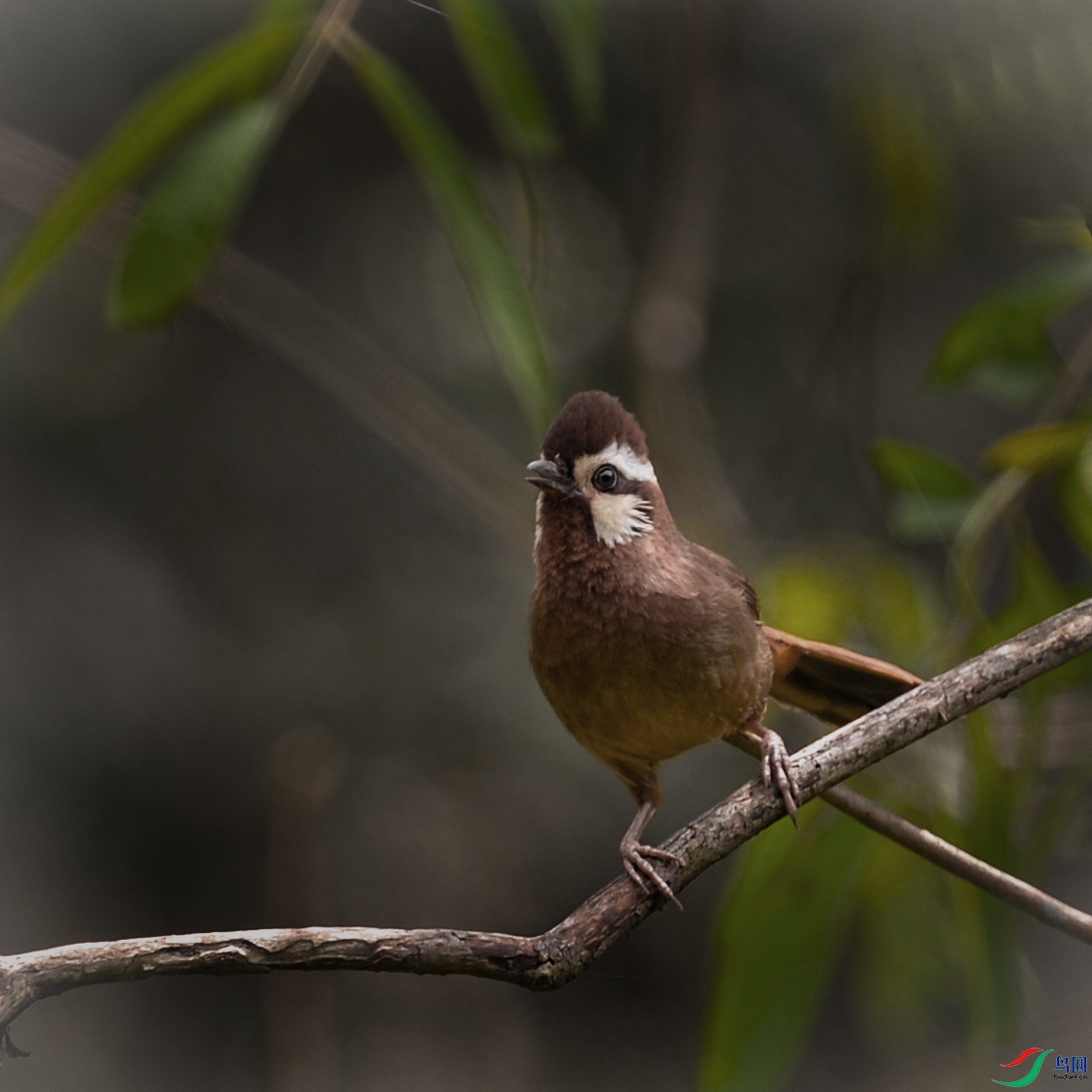 DSC_7110.jpg