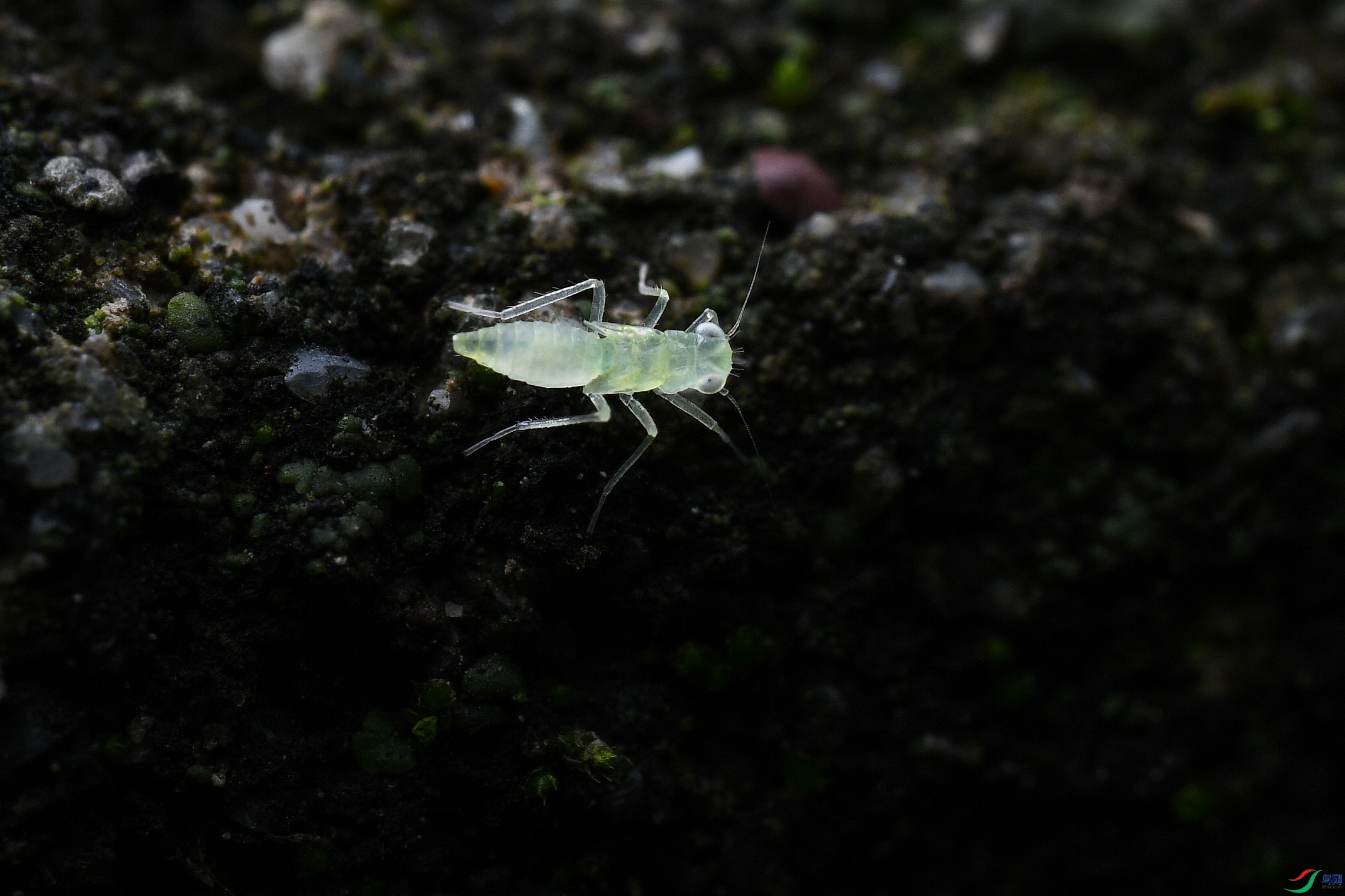 DSC_3096.JPG