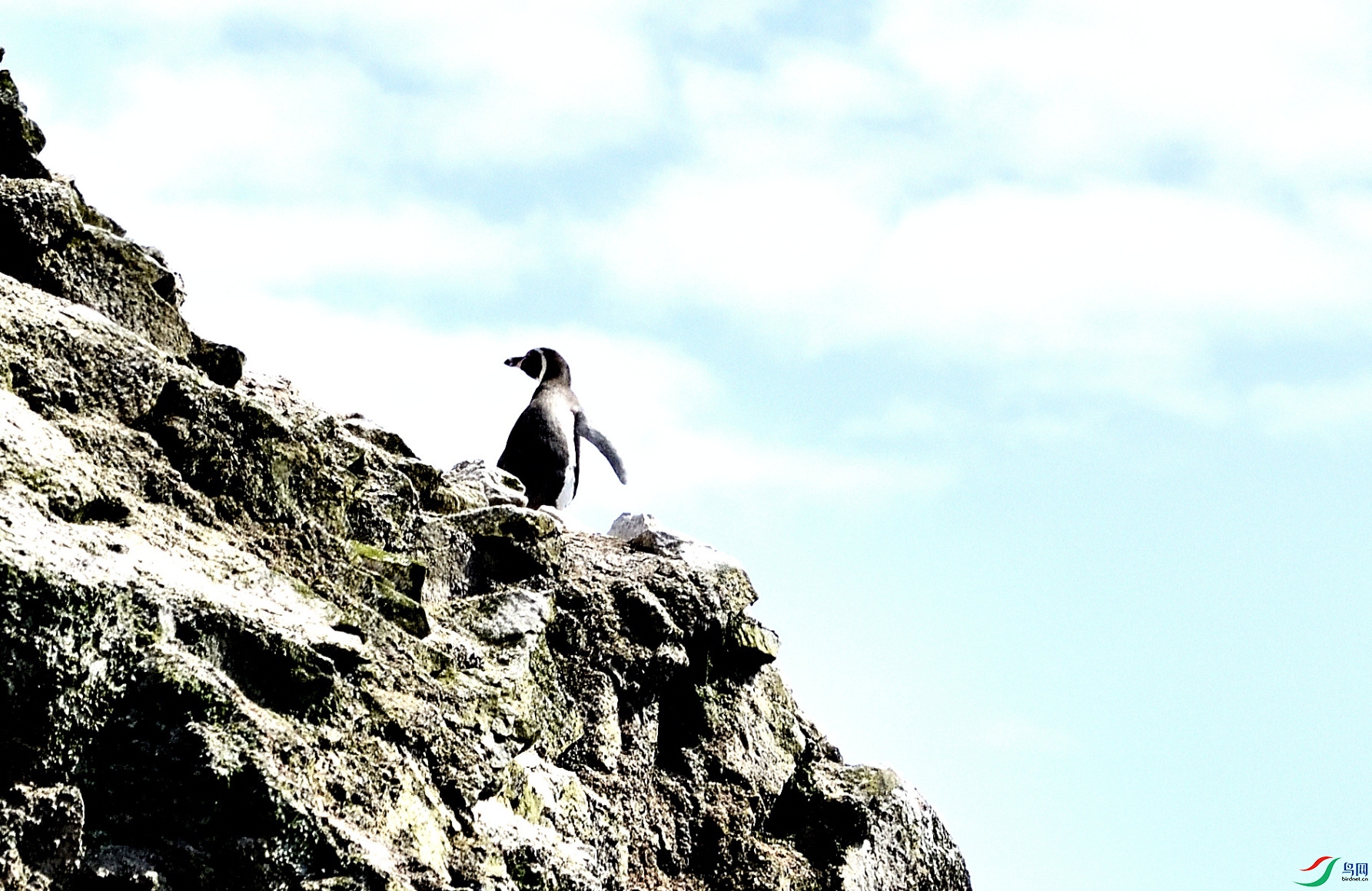 _DSC6295_01_01.JPG