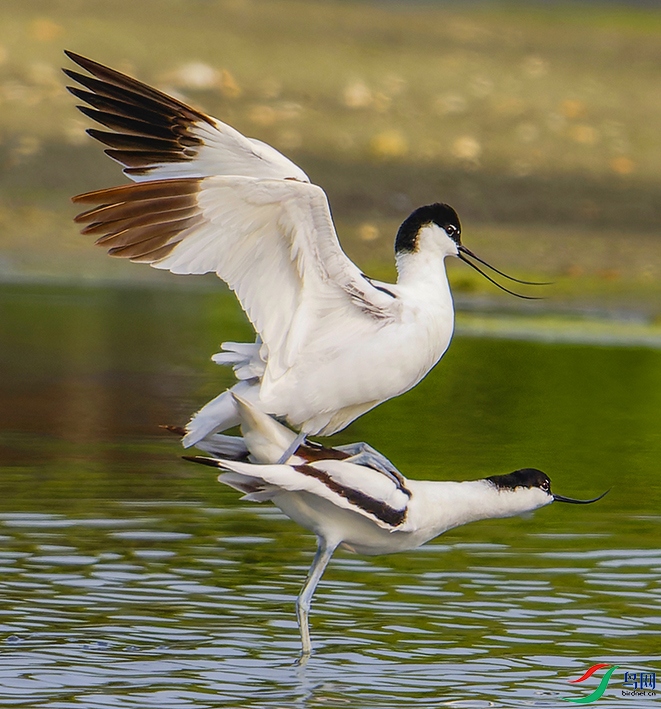 �����ֽ���