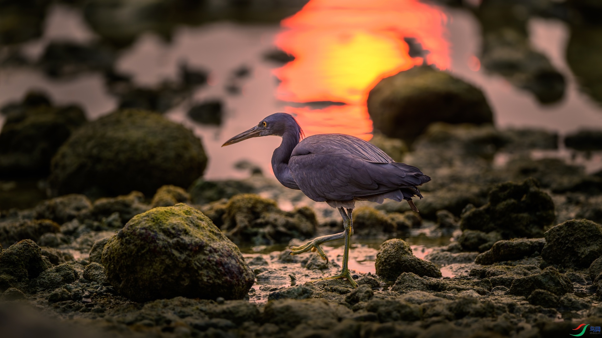 1_XXL5902-����ǿ-NR ����.jpeg