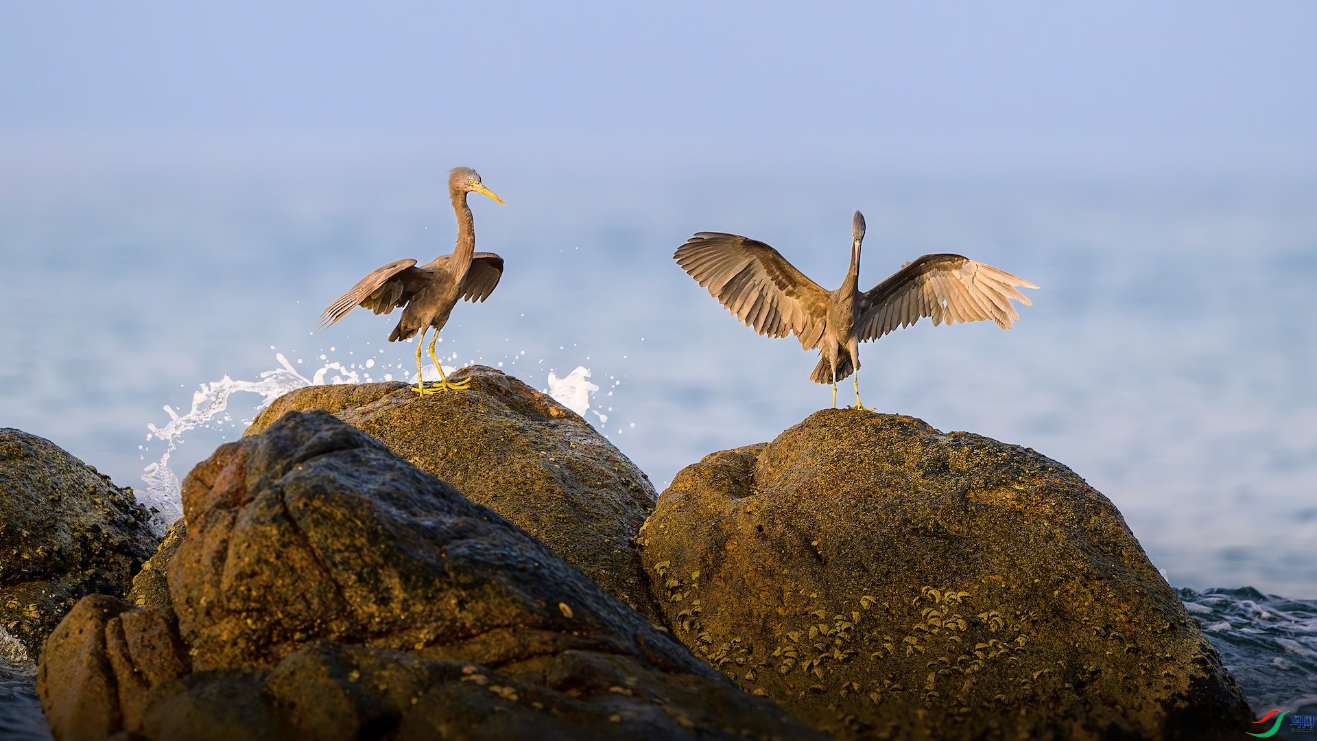 1_XXL6716-����ǿ-NR ����.jpeg