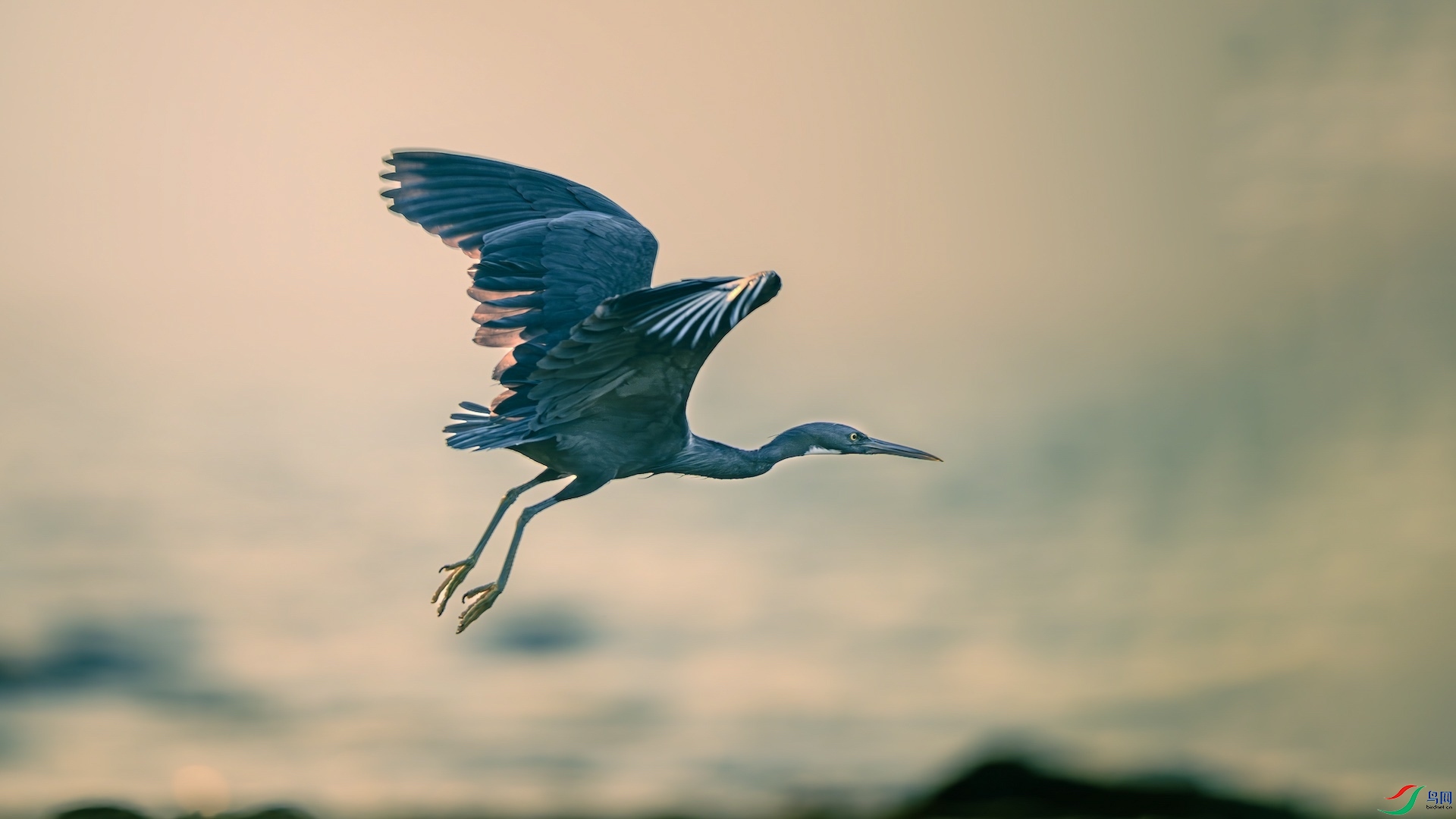 1_XXL8303-����ǿ-NR ���� 2.jpeg