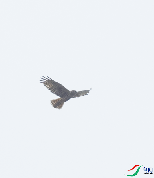 CS3U7039.png