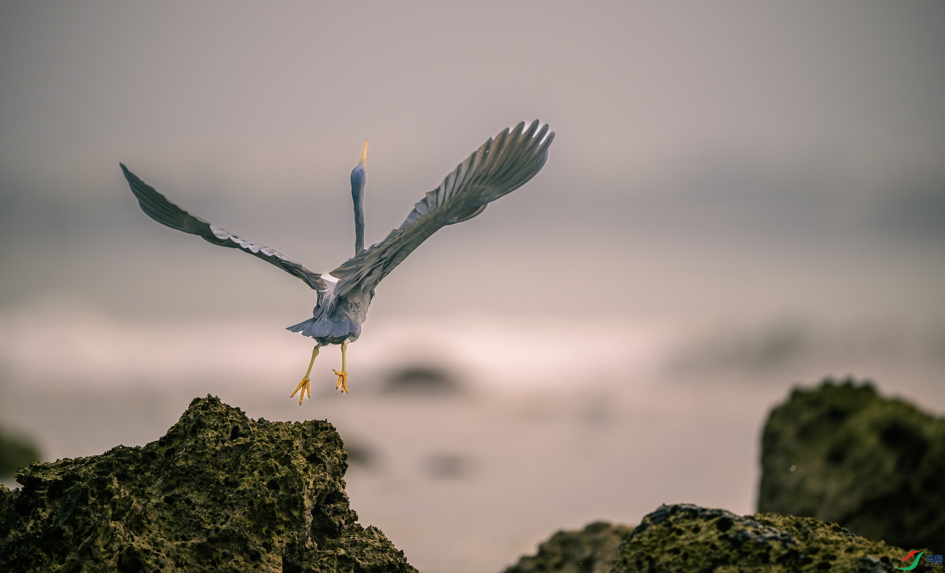 1_XXL9491-����ǿ-NR ����.jpeg