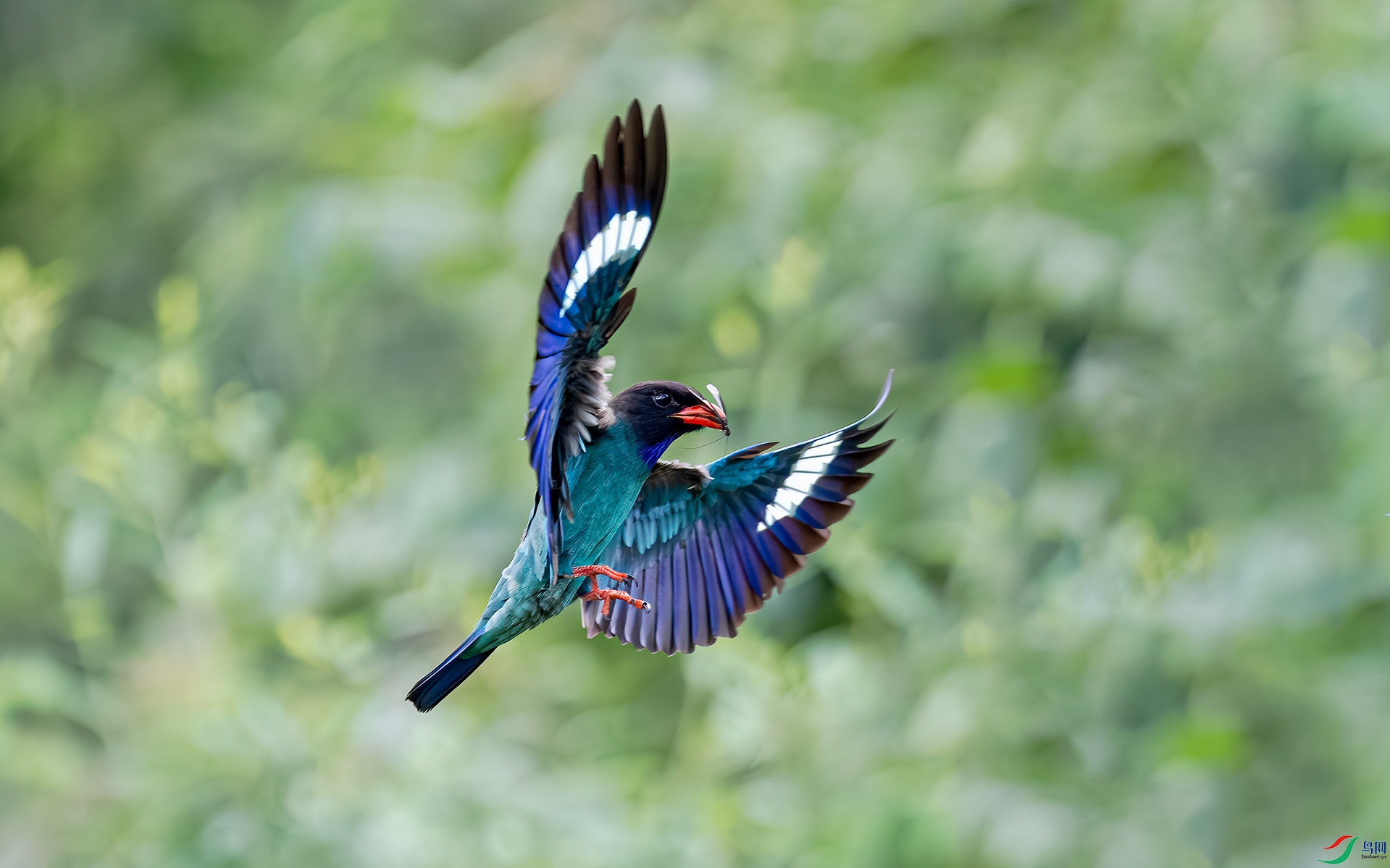 _DSC8032.jpg