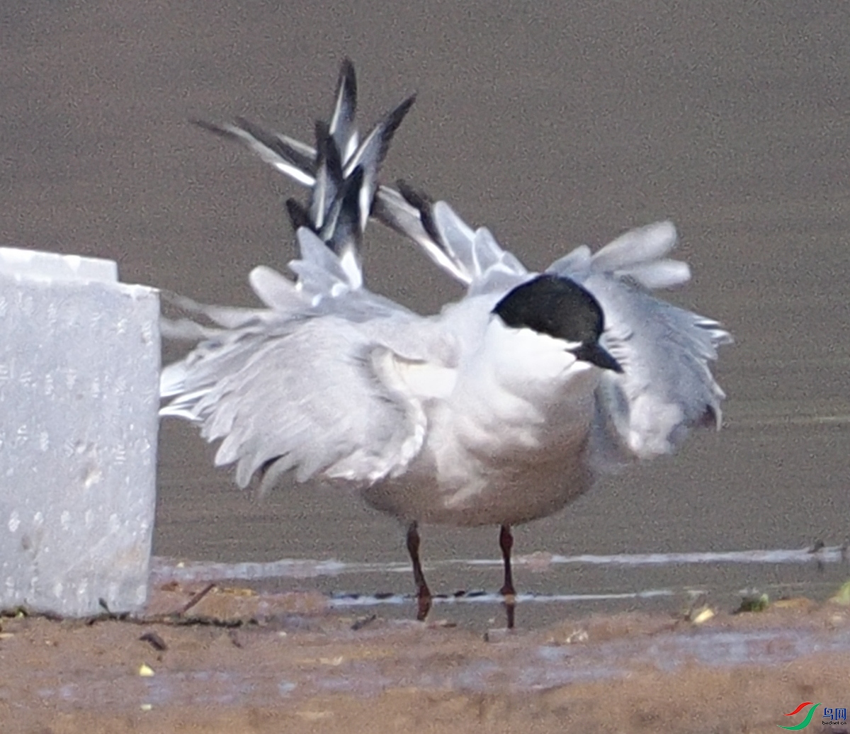 P4205967_����.jpg