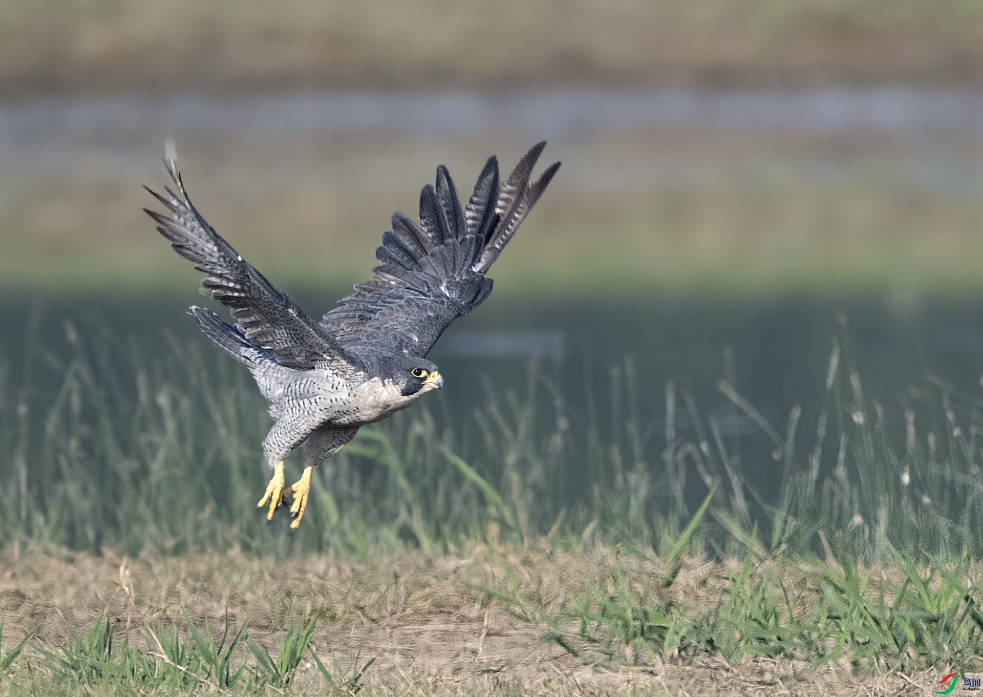 ��DSC_7893_01 ��ؐ.jpg