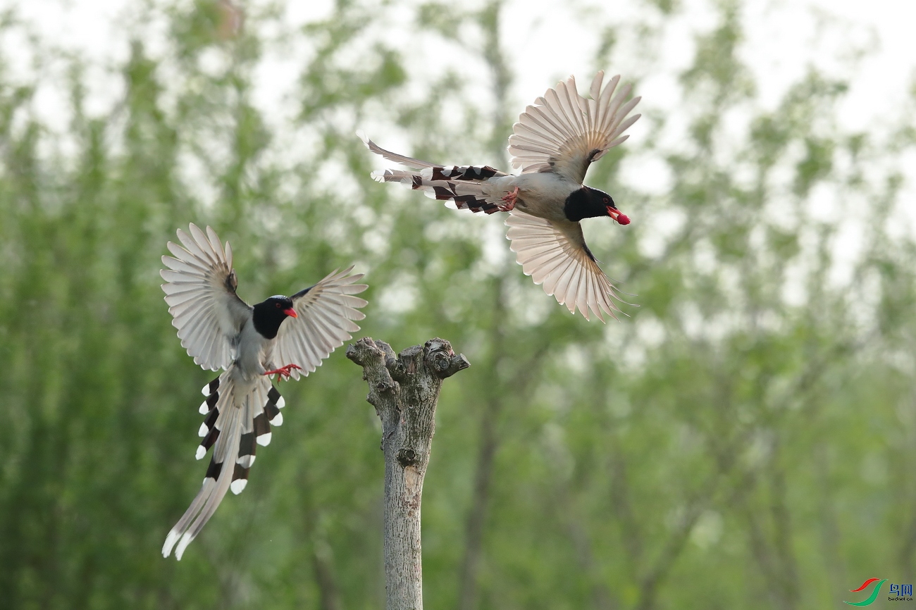 ��������YZND8128 - ���� - ����.JPG