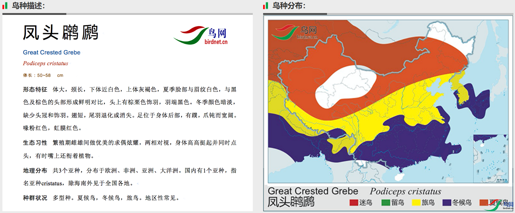 dcbab59980648f14152e70902a65b8b.png