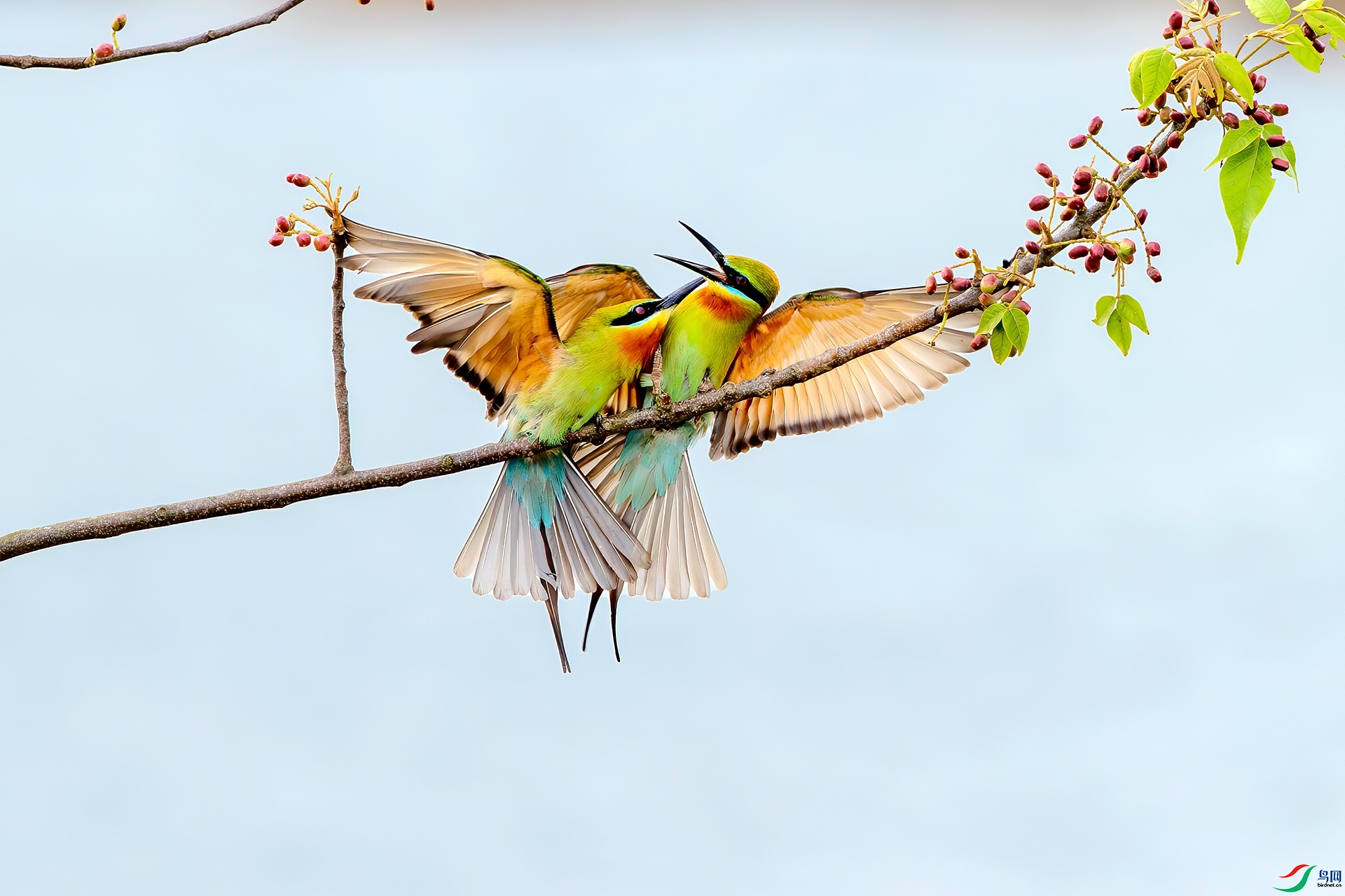 4.20 �ɵ���ʦ��Ʒ  һ�����  �ٻ�2024��4��20����Ӱʦ��ҳ����.jpg