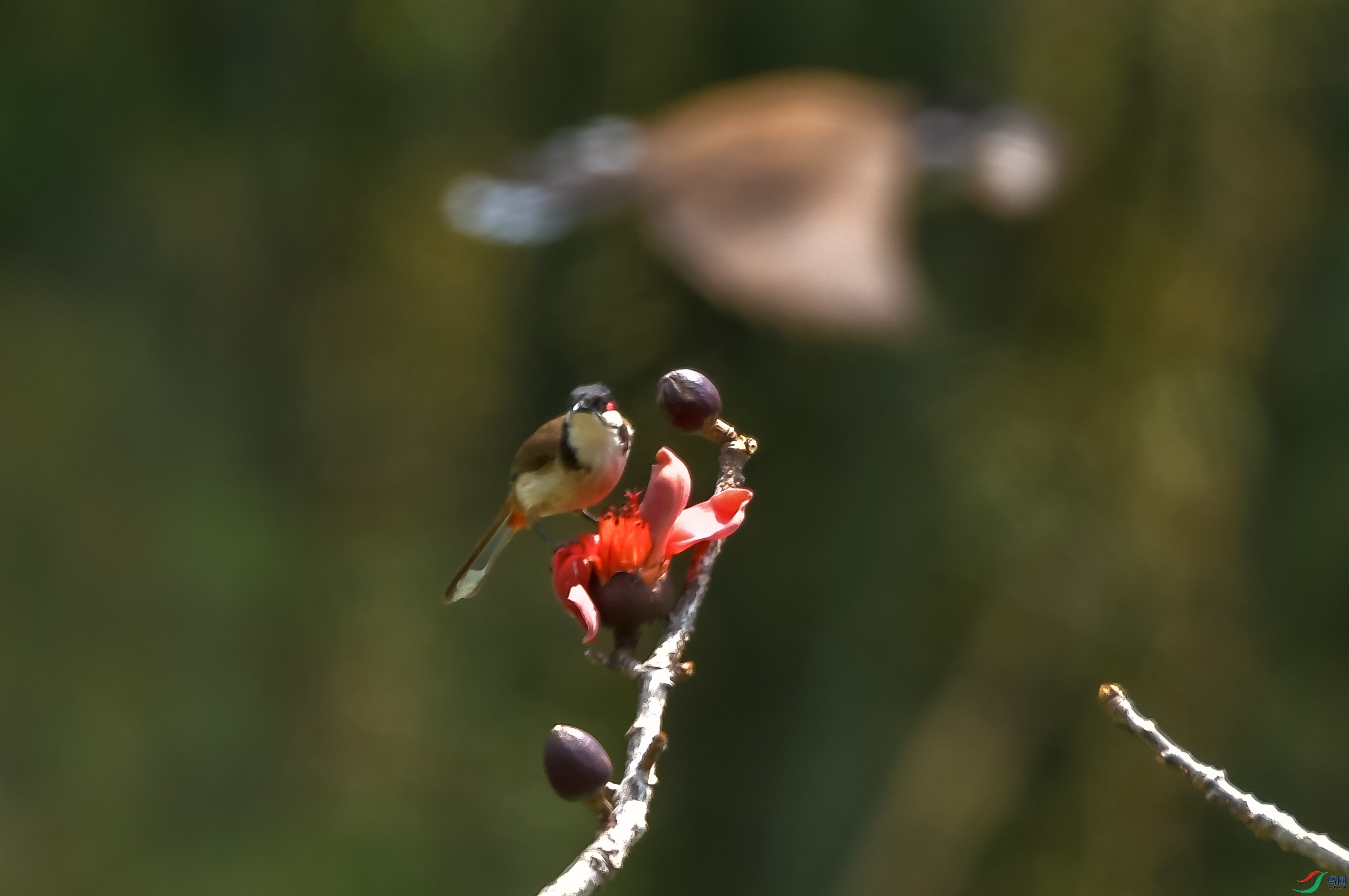 DSC_7179.JPG