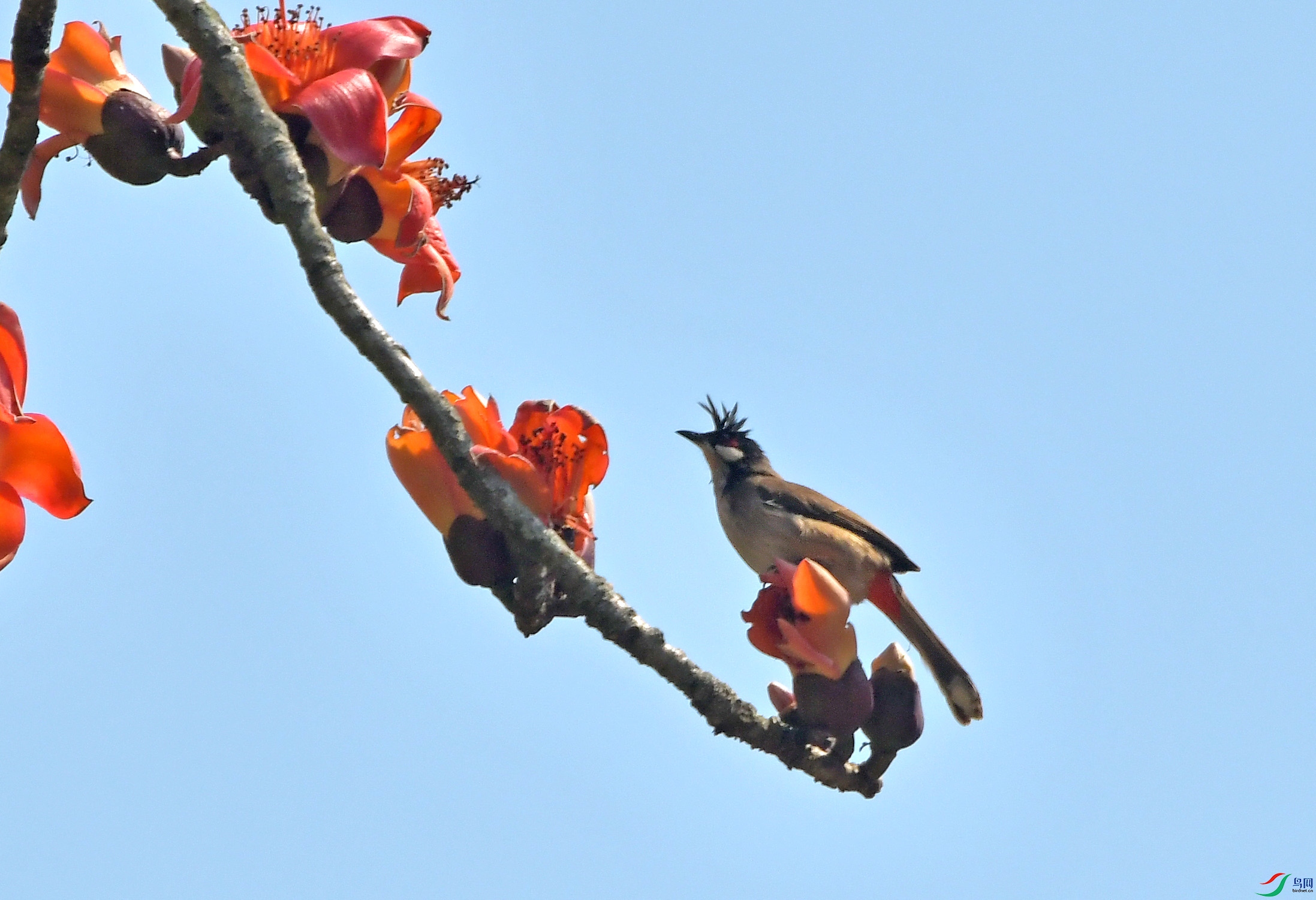 DSC_5092.JPG