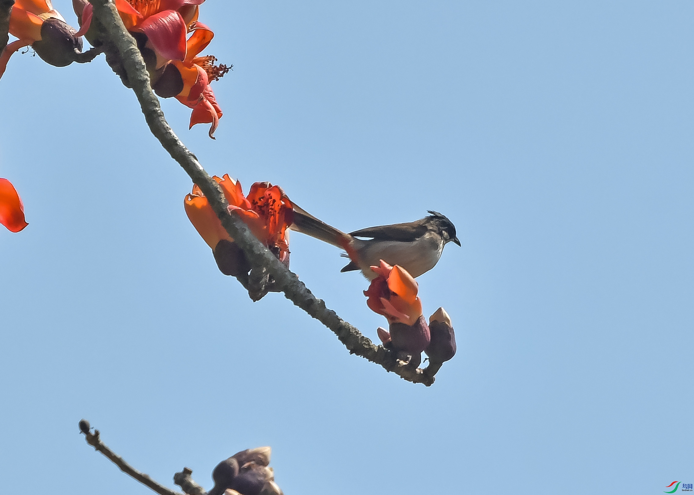 DSC_5085.JPG