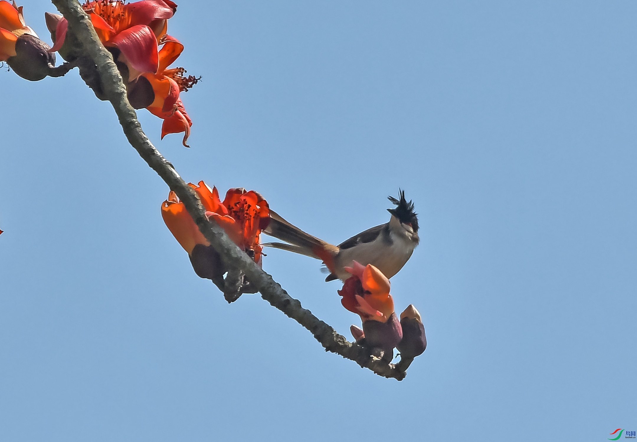 DSC_5090.JPG