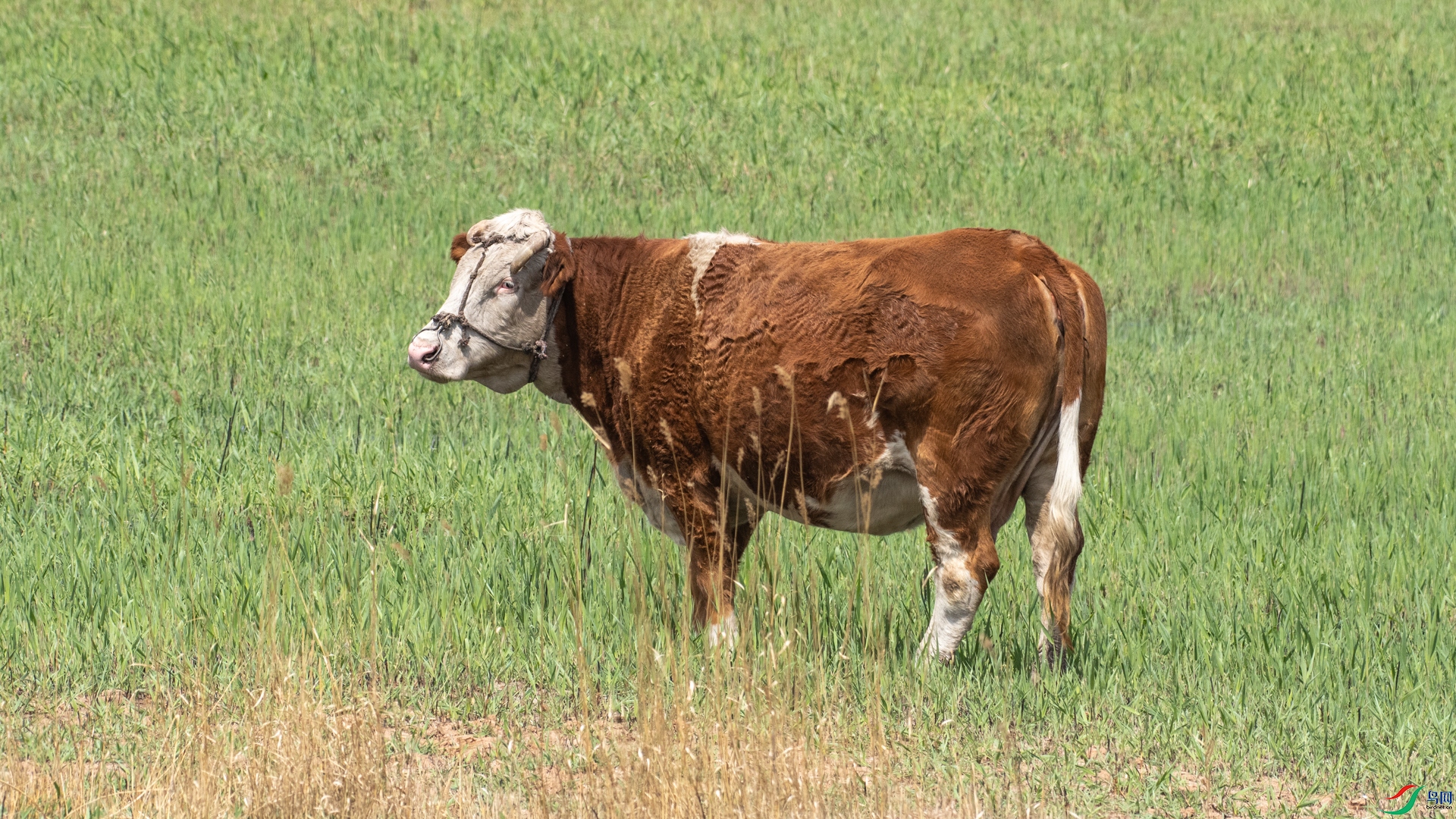 DSC_9957.jpg