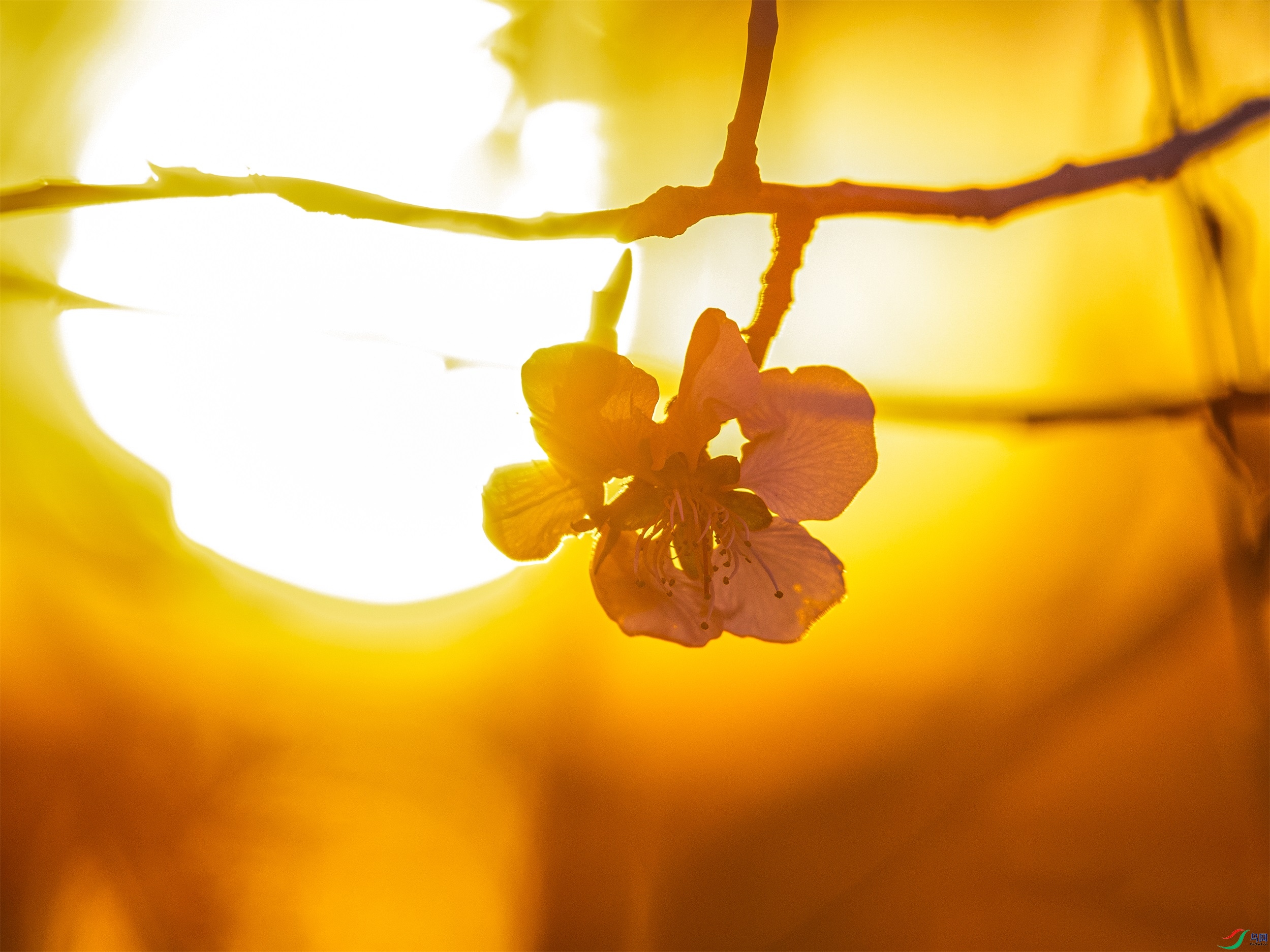 CY4A0708 ����1.jpg