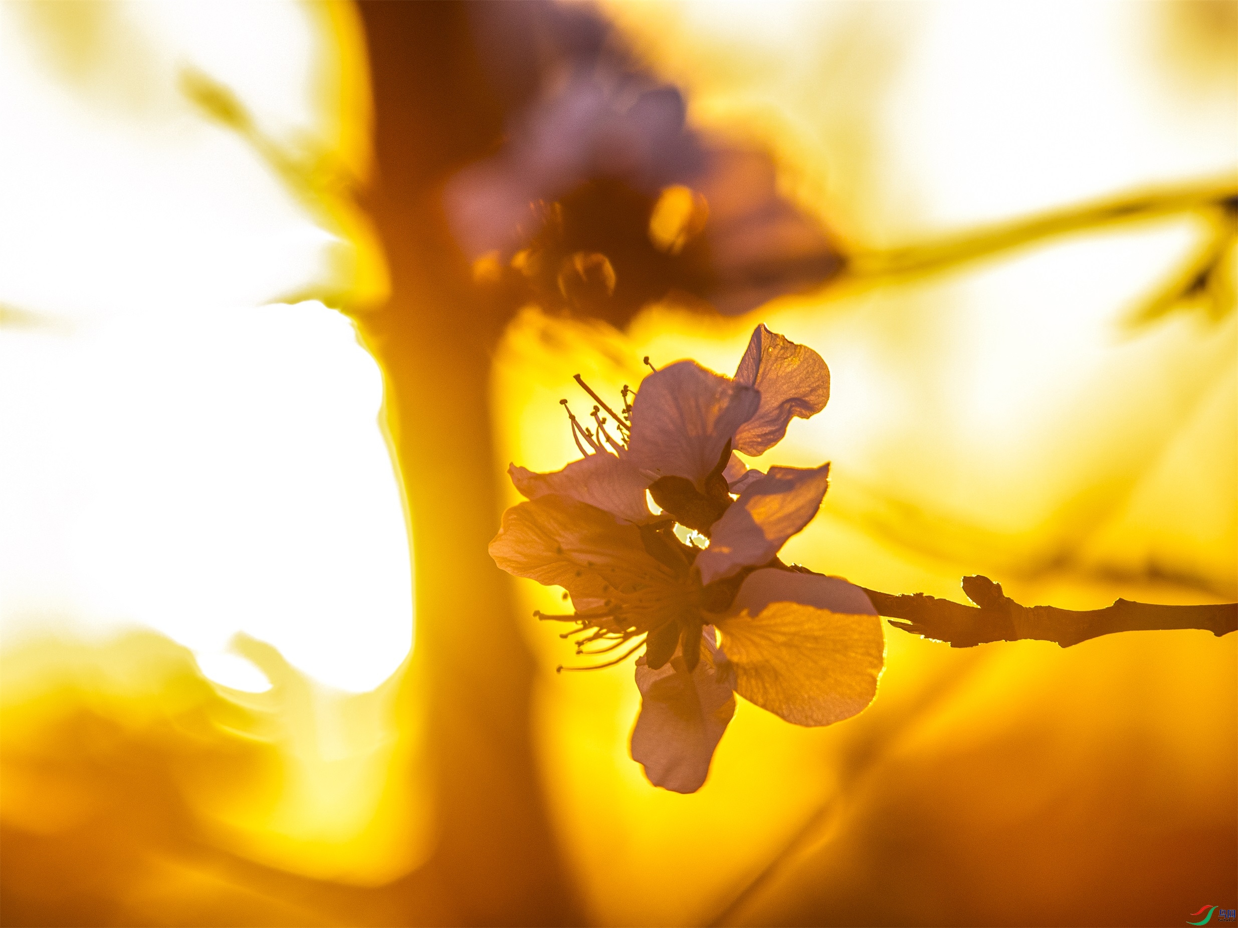 CY4A0710 ����1.jpg