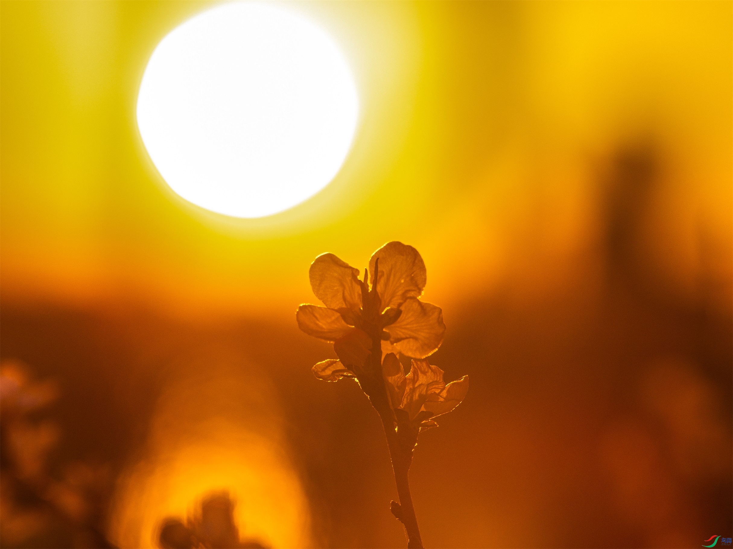 CY4A0714 ����1.jpg