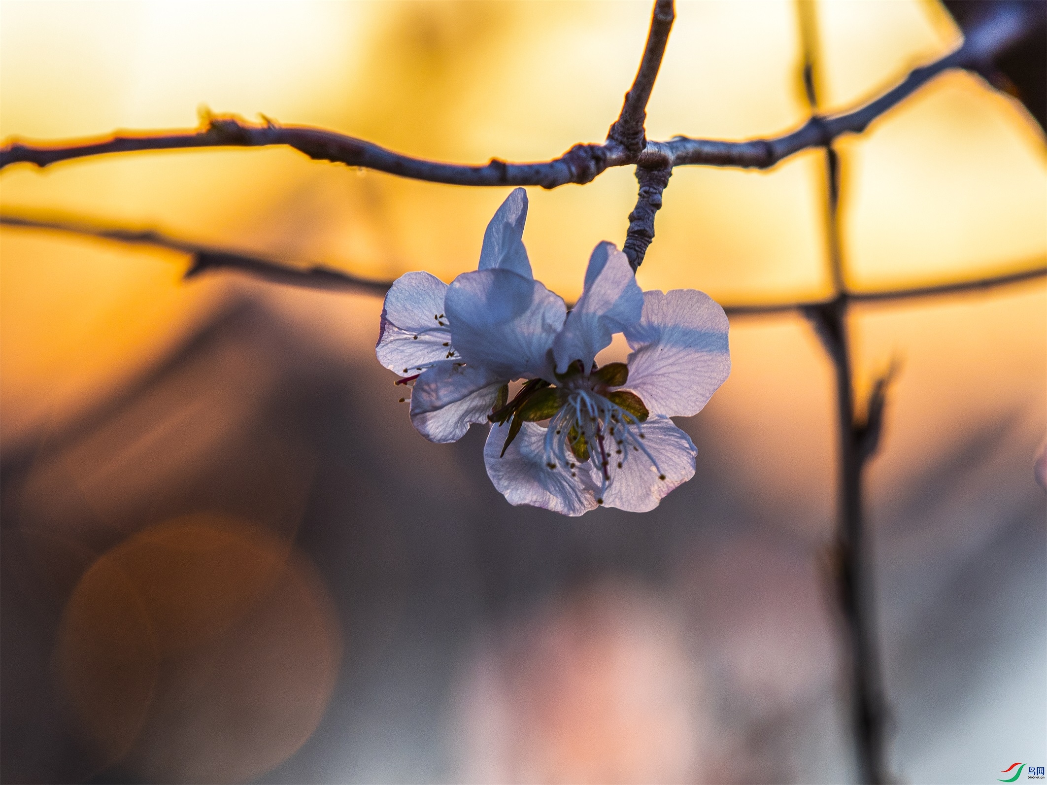 CY4A0720 ����1.jpg