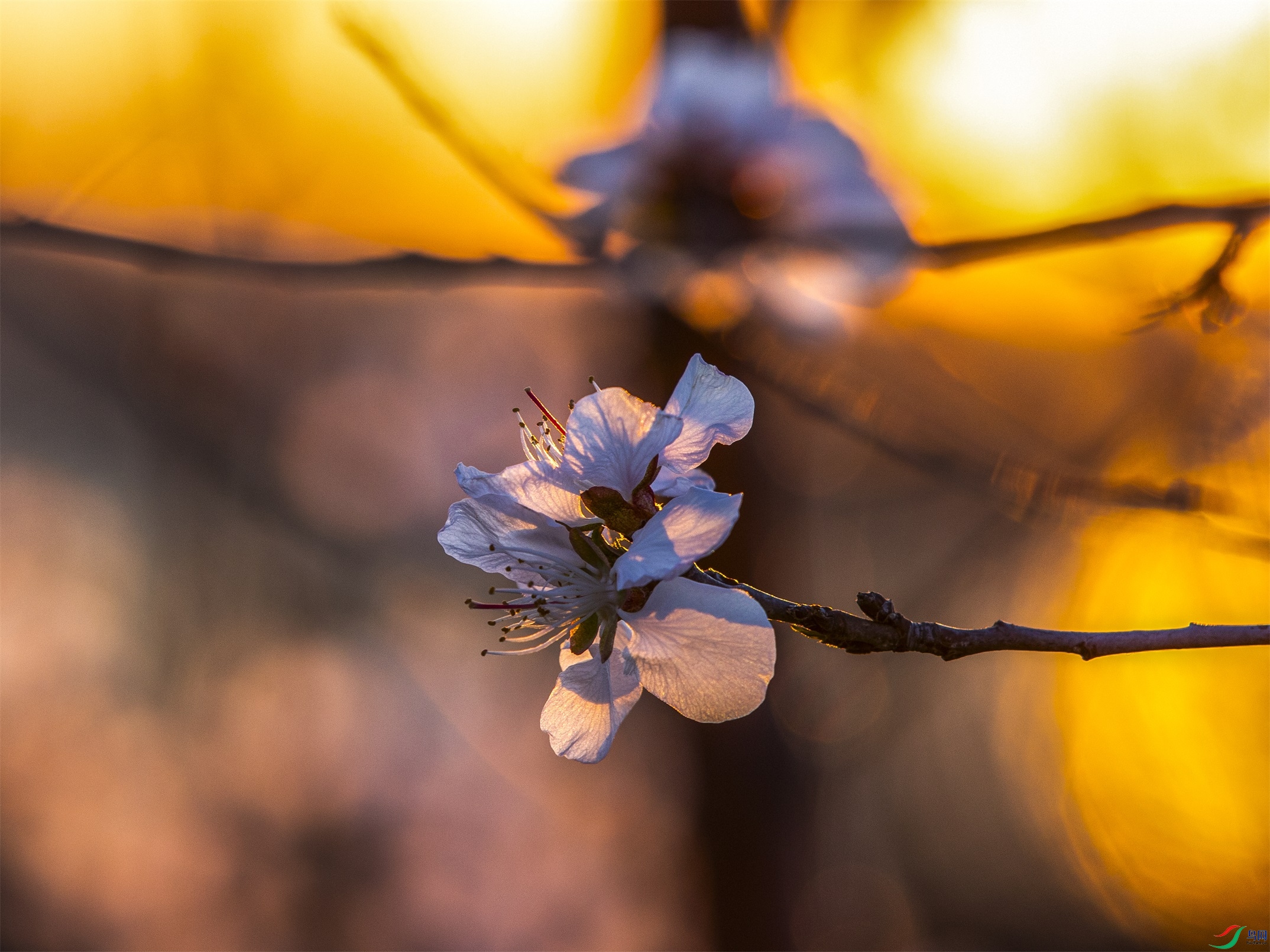 CY4A0723 ����1.jpg